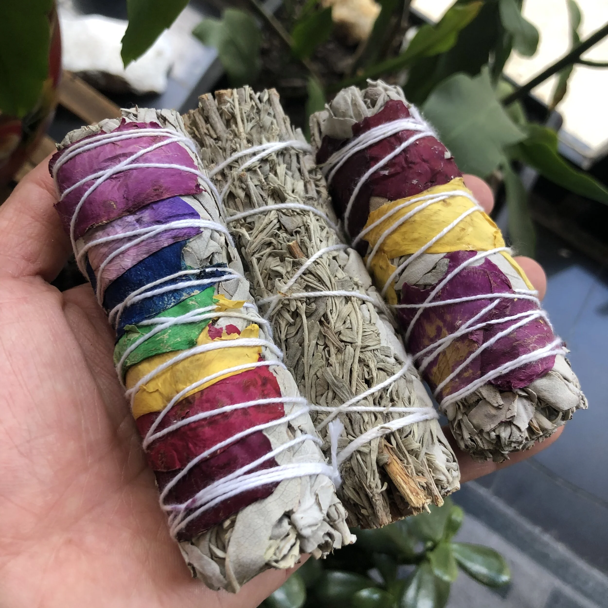 7B6C2A2A-2E3E-4692-9C2C-2F538EF99477