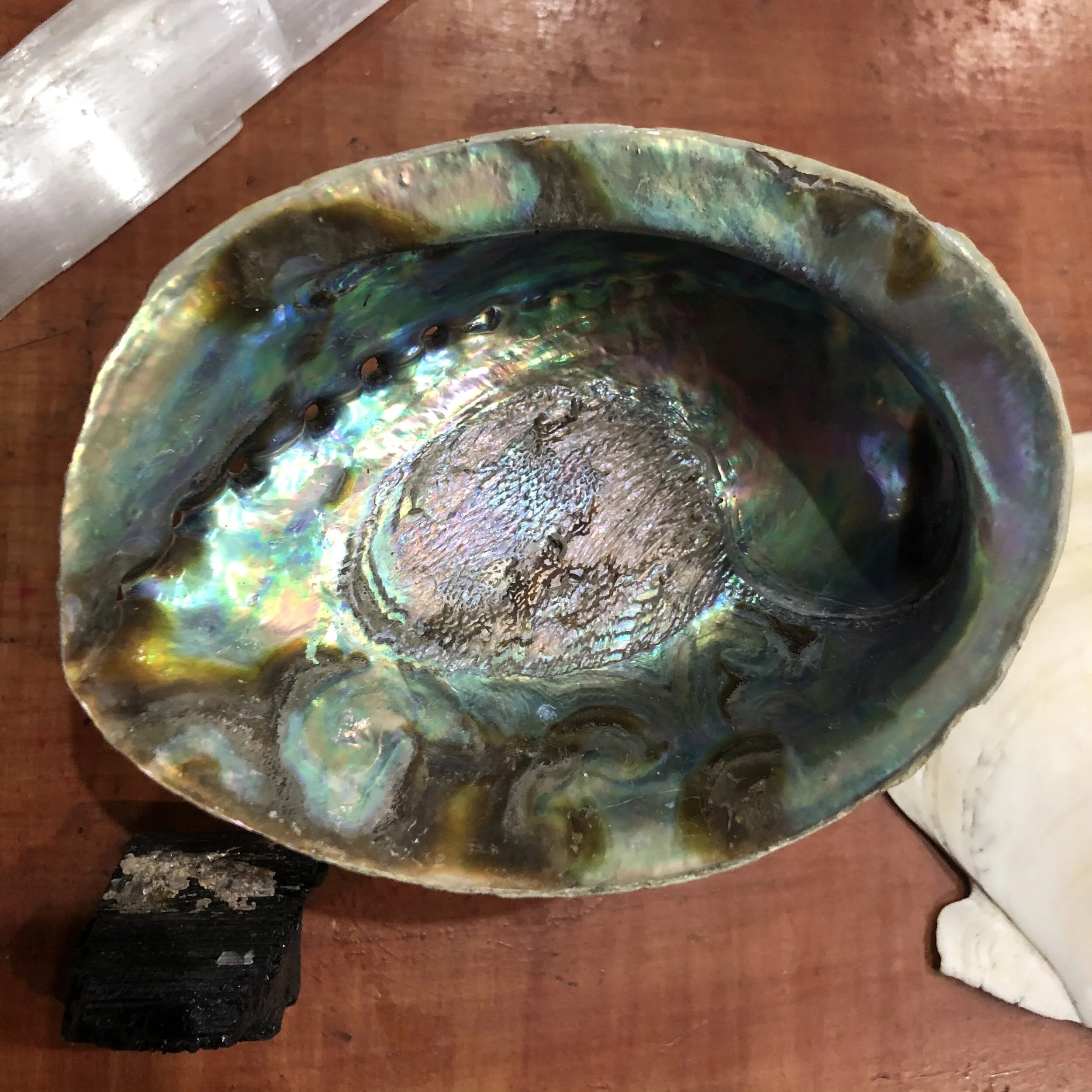 9A45BD5E-8357-4DBB-89FF-7E32F472951B