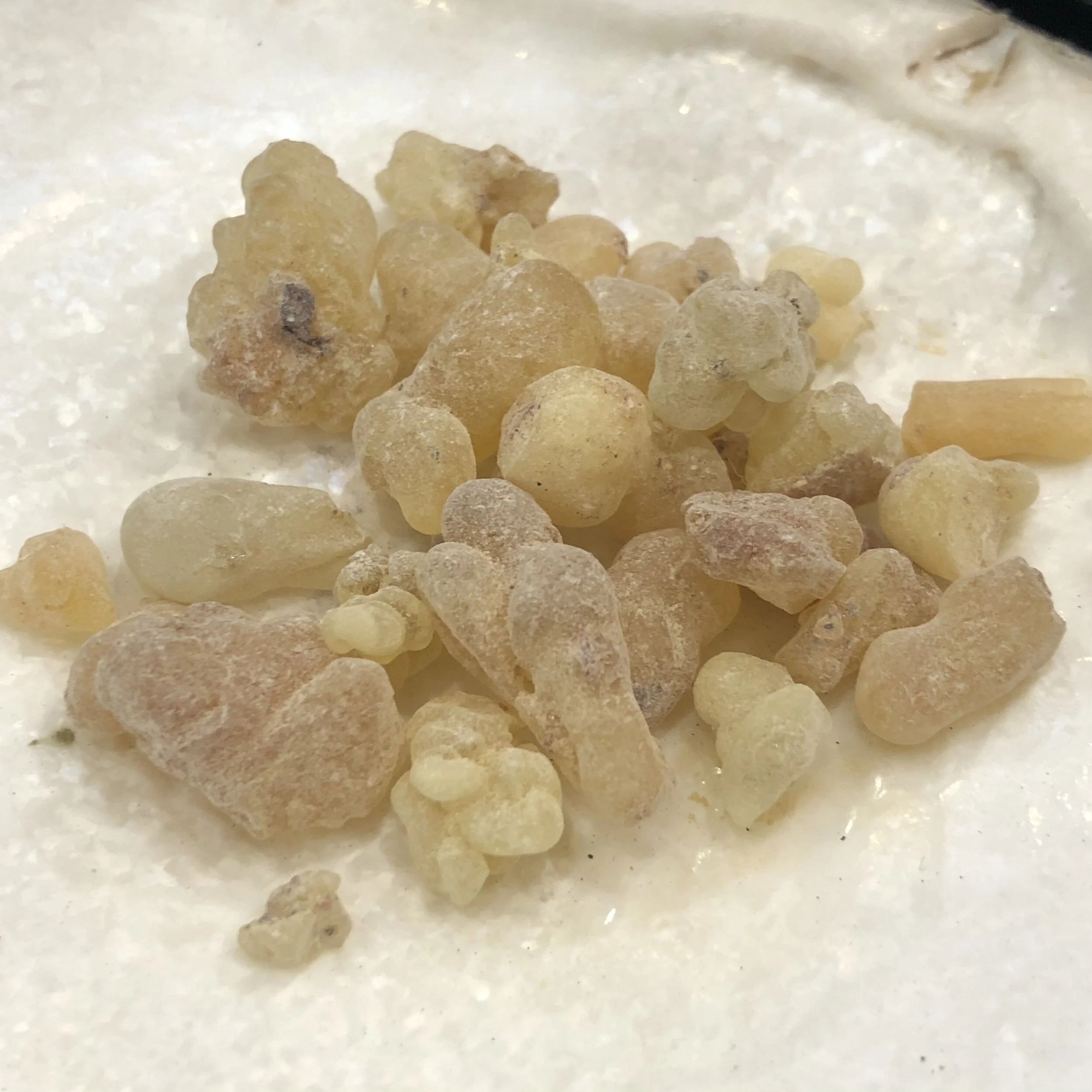 E76D7084-D94F-4EAF-B398-2367735C5816