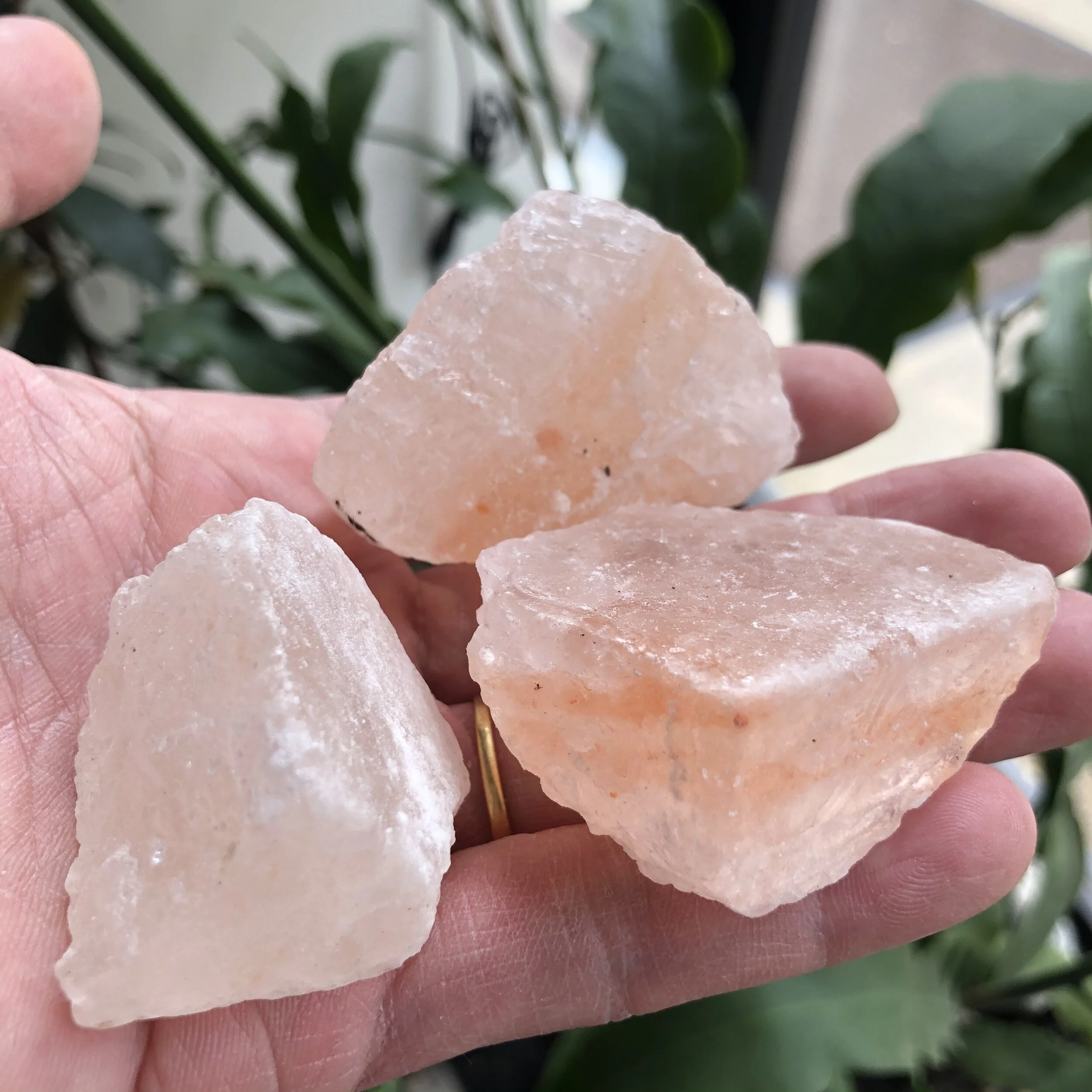 0EED8FEB-0CE5-46E8-BDEA-2A63AE8591A0