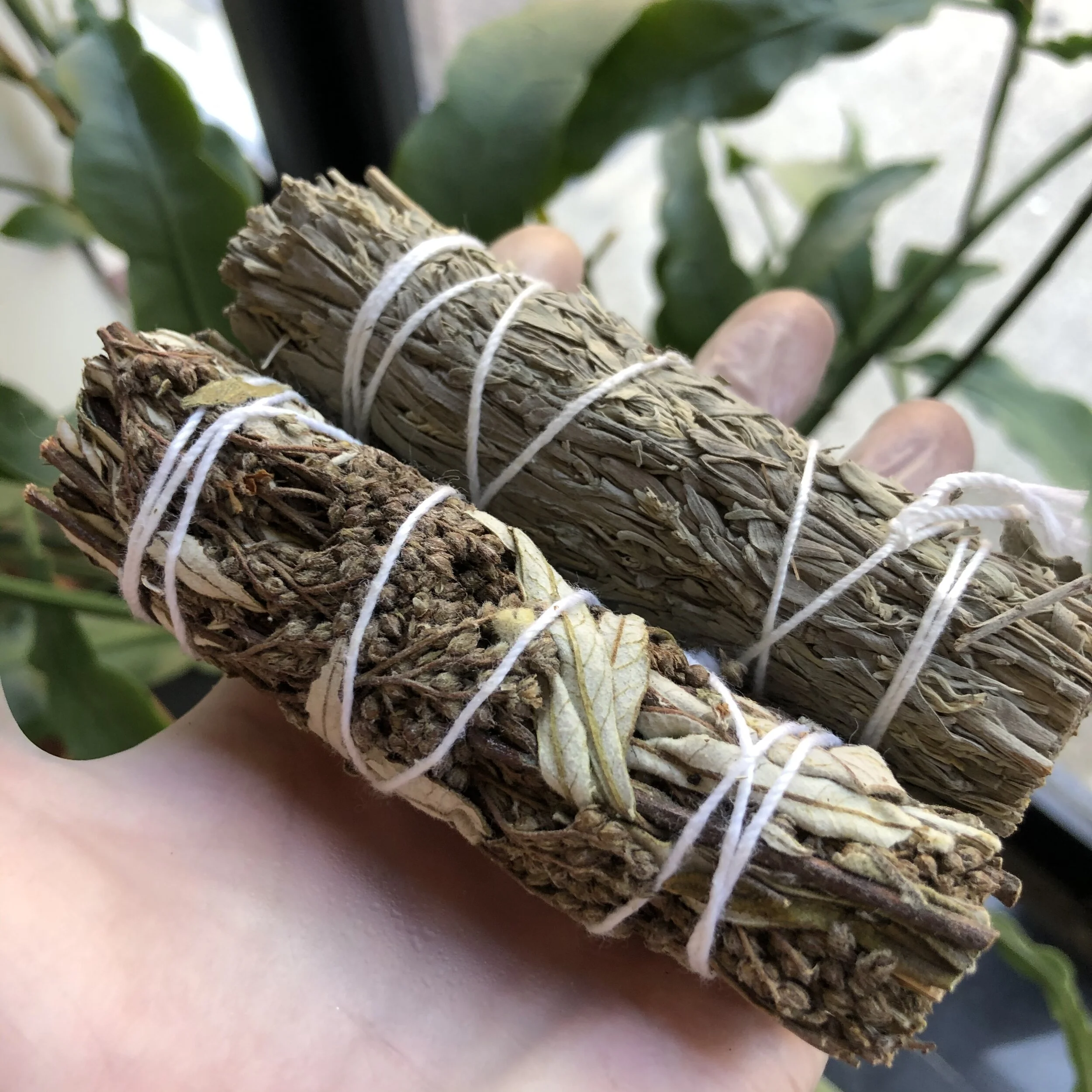 D8ECDF5E-1525-4E26-9229-5AE760E9B877