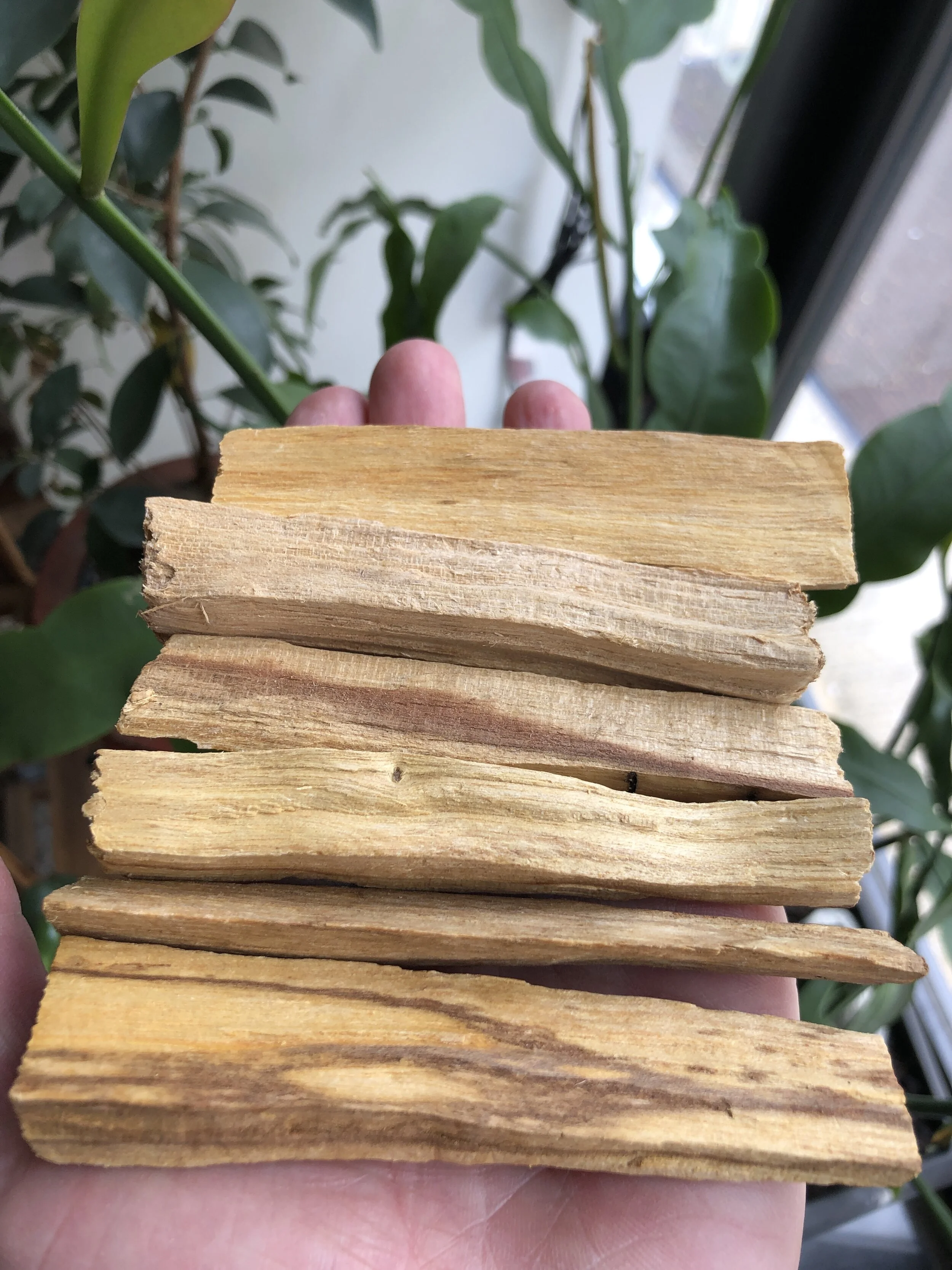 FBCB8FB6-CD5E-42F7-BBEE-4109219B72EB