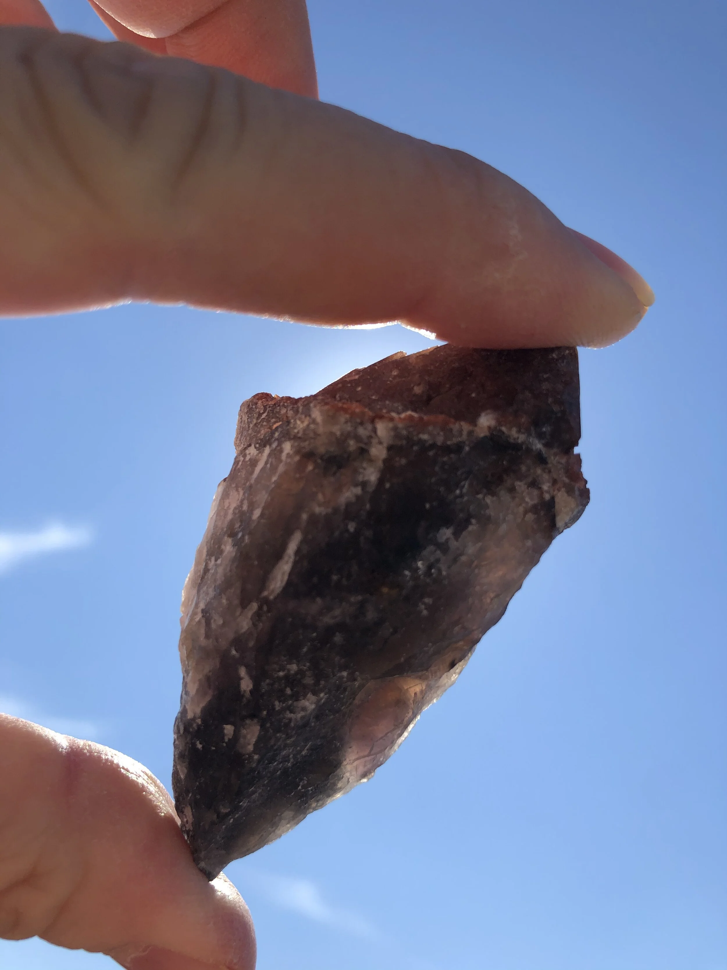 D22D9A3A-5C03-476E-B3FD-42FC7087F7CE