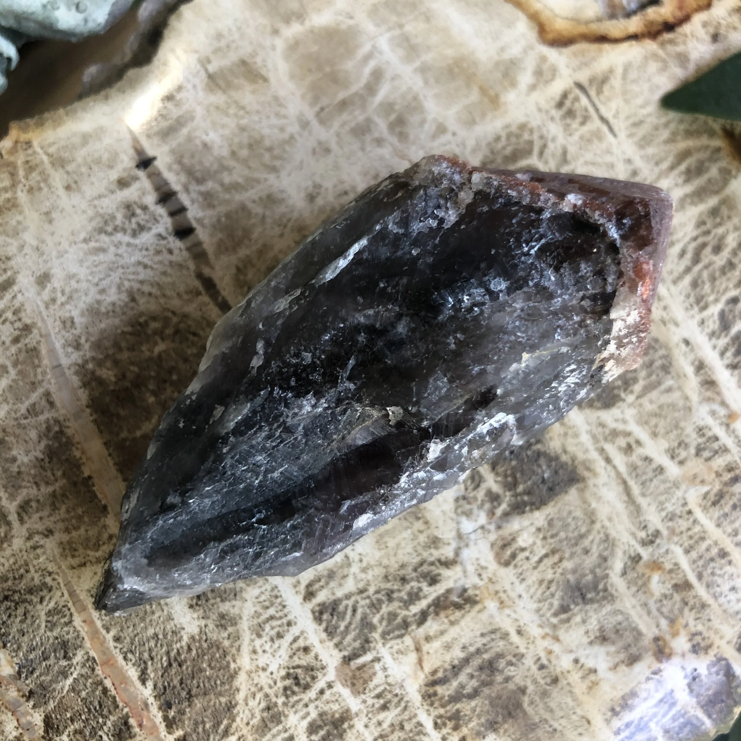 3BC2251C-01A3-4C2B-B5F0-2AAE18F3E3DF