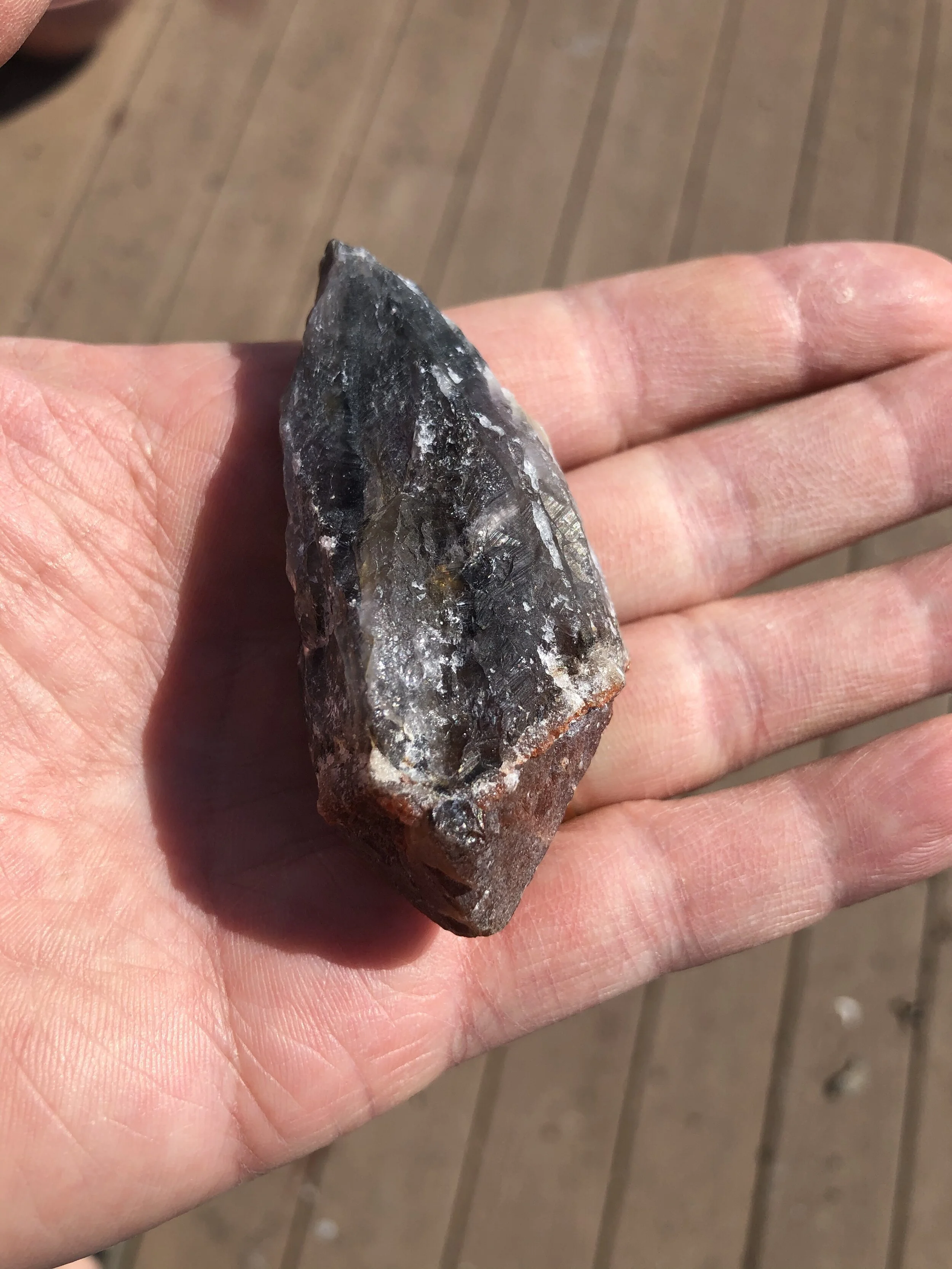 905C4AF7-FA55-4074-9FF7-3E2900EC8DAC