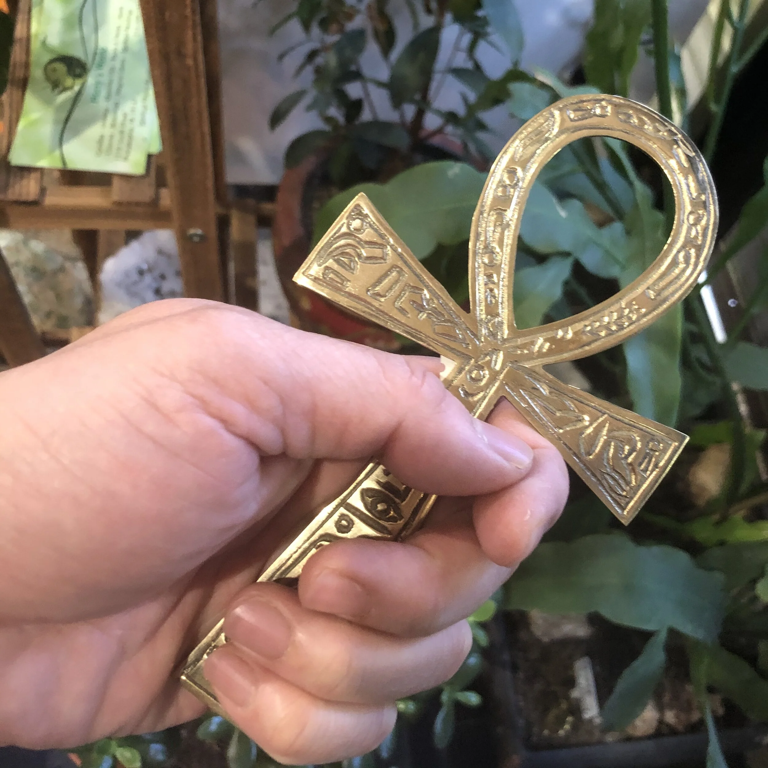 279F46B9-74BA-4E0C-828C-371E6FEBC50A