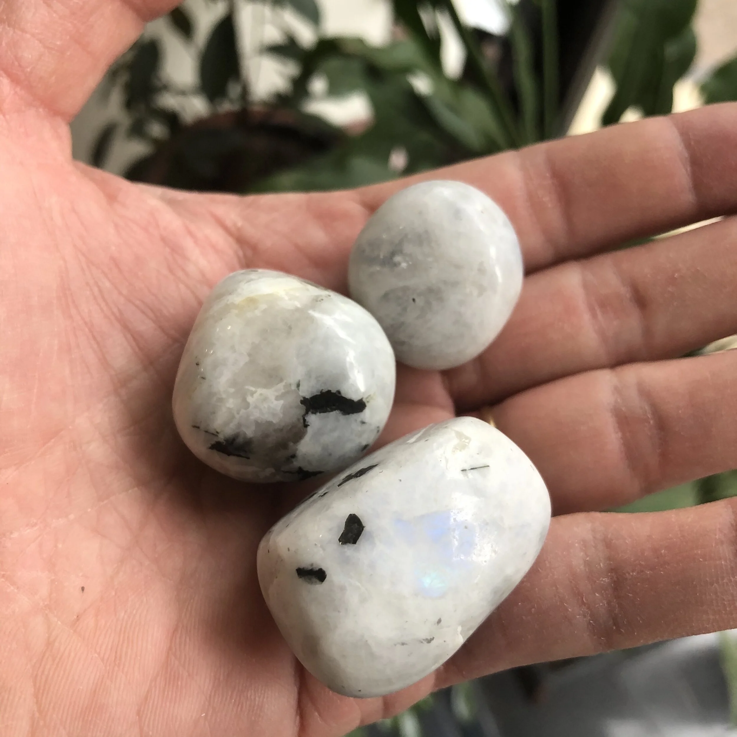 06F5D090-1D45-49FD-8623-16FDE776B6C7