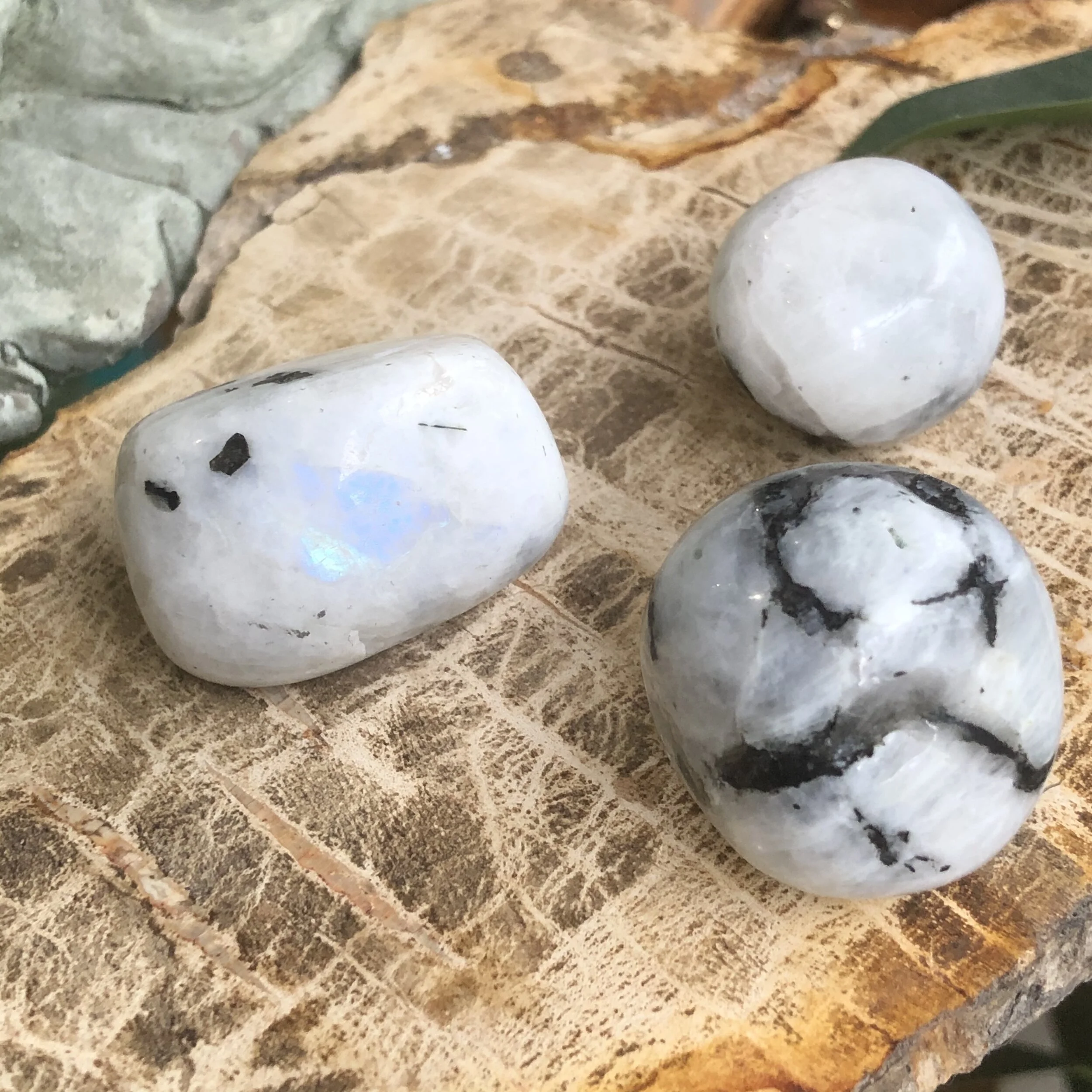 B633E412-7E2B-48D0-9407-70B545779843