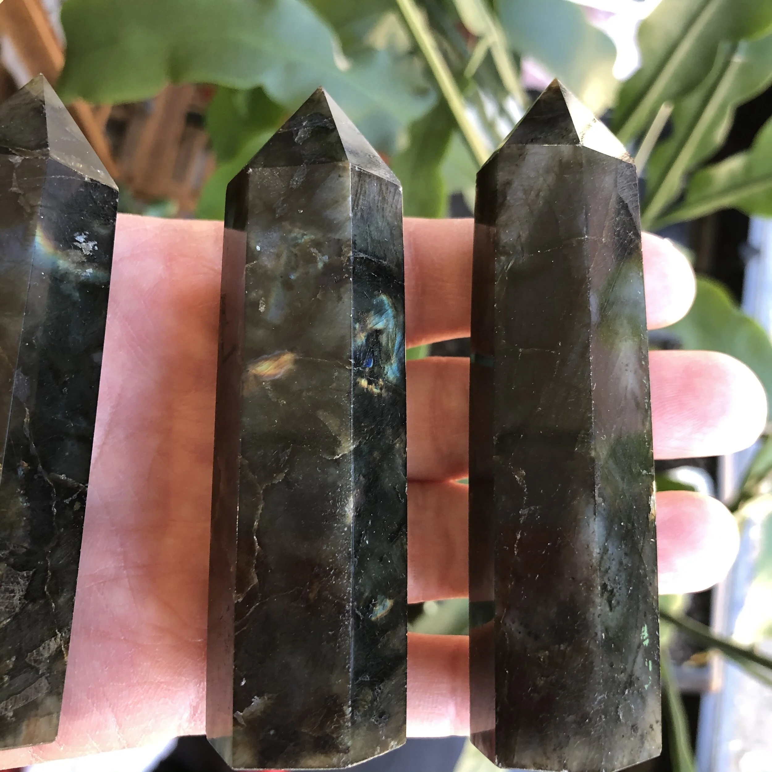 FF6F4A27-FE59-4543-AAF5-B259FE667F2E