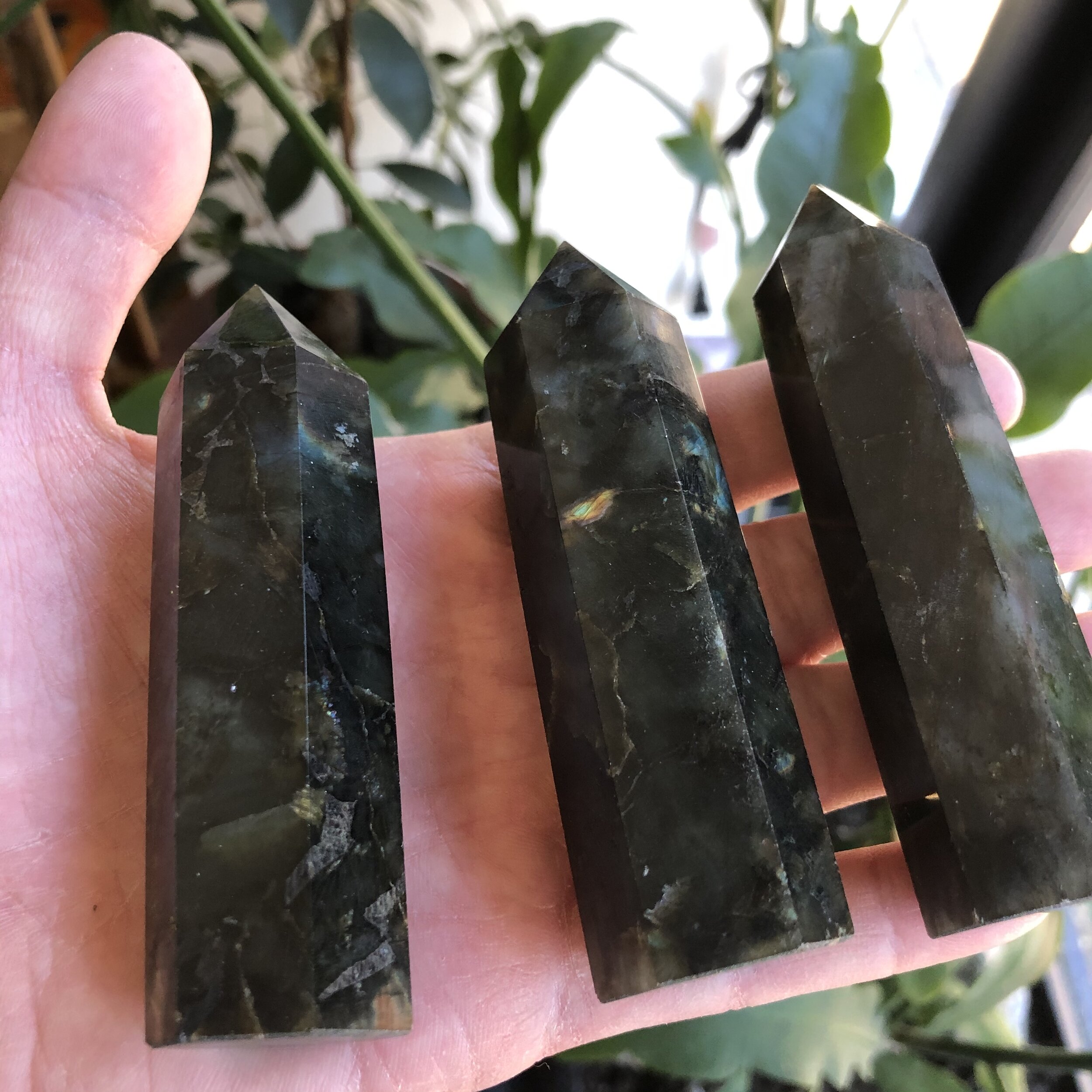 27BDF746-23D9-487F-A138-A9DA605846D7