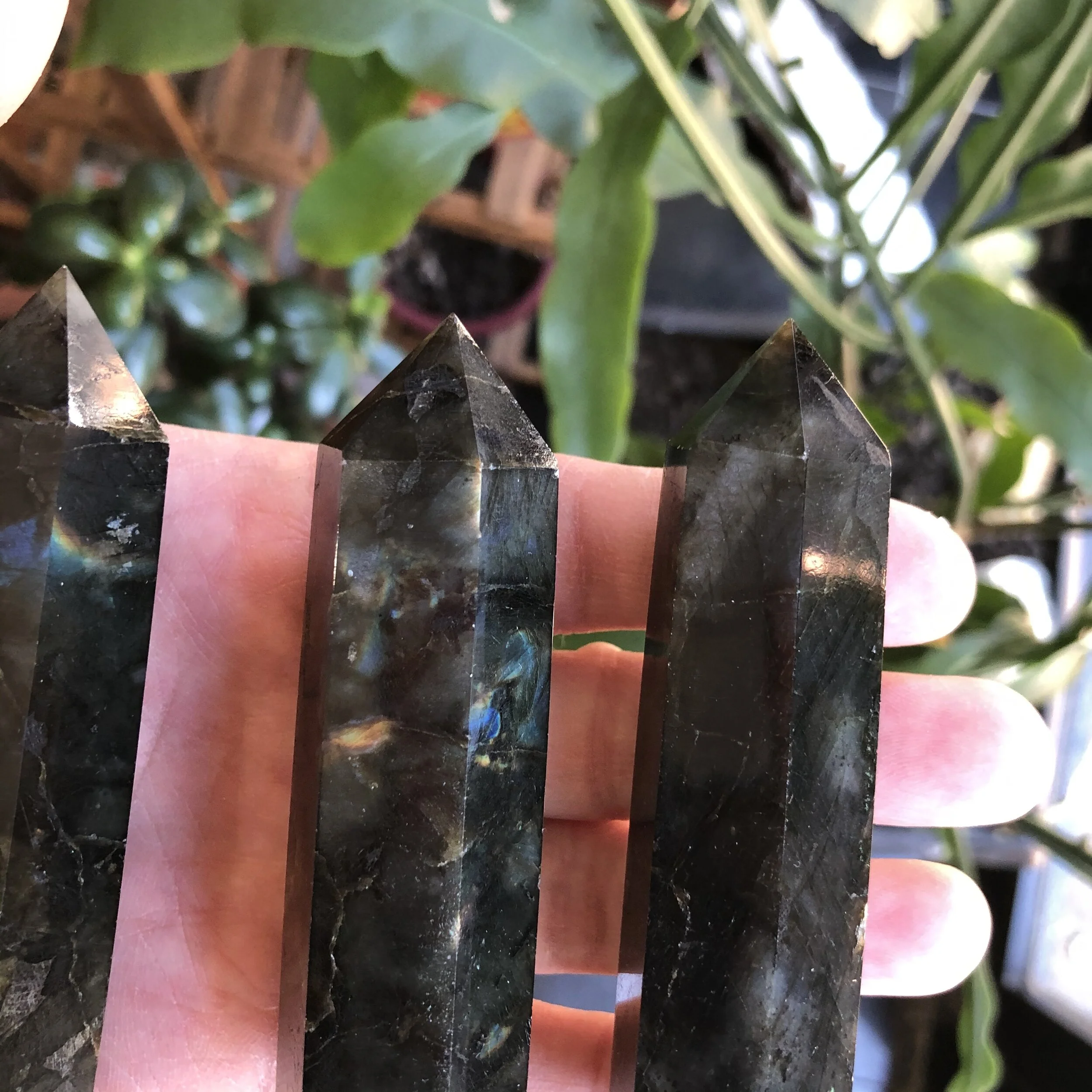 8DA46BBD-DAFD-4867-93D3-15BED450BBFC