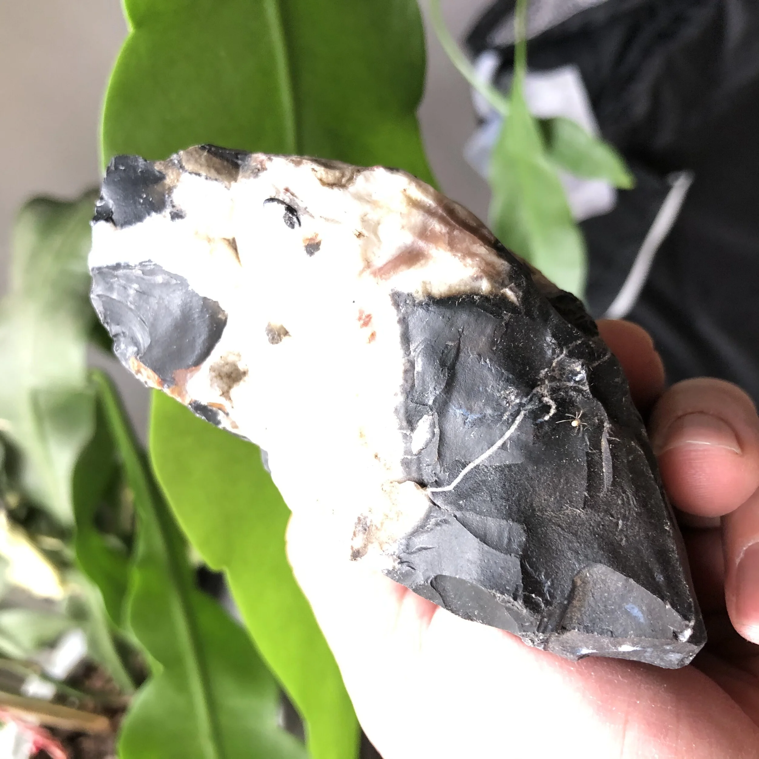 C8630406-7EF5-4A4E-8202-A8C6FC80F29F