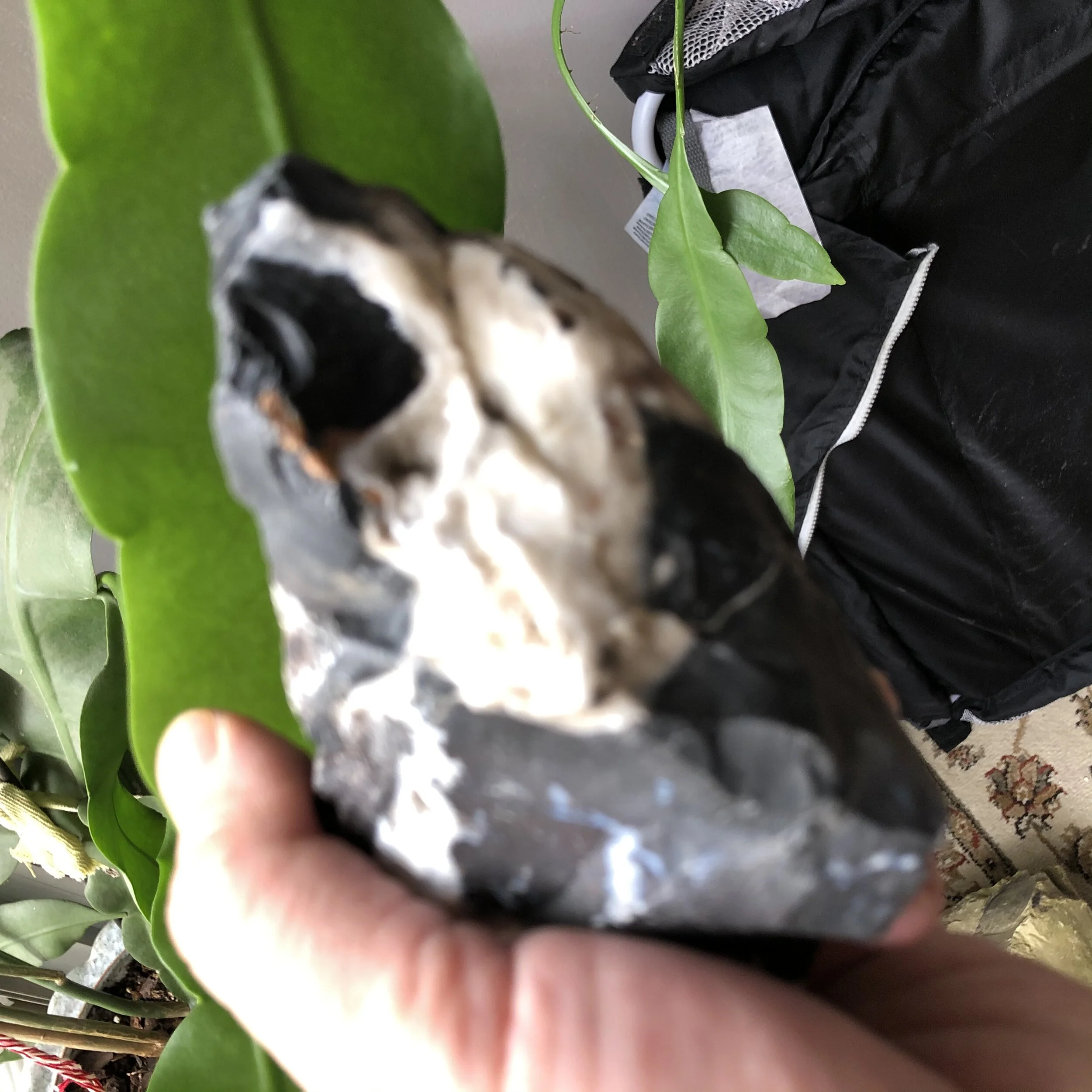 EBFAC5B8-6D83-4EC7-97F4-2E4D10F44238