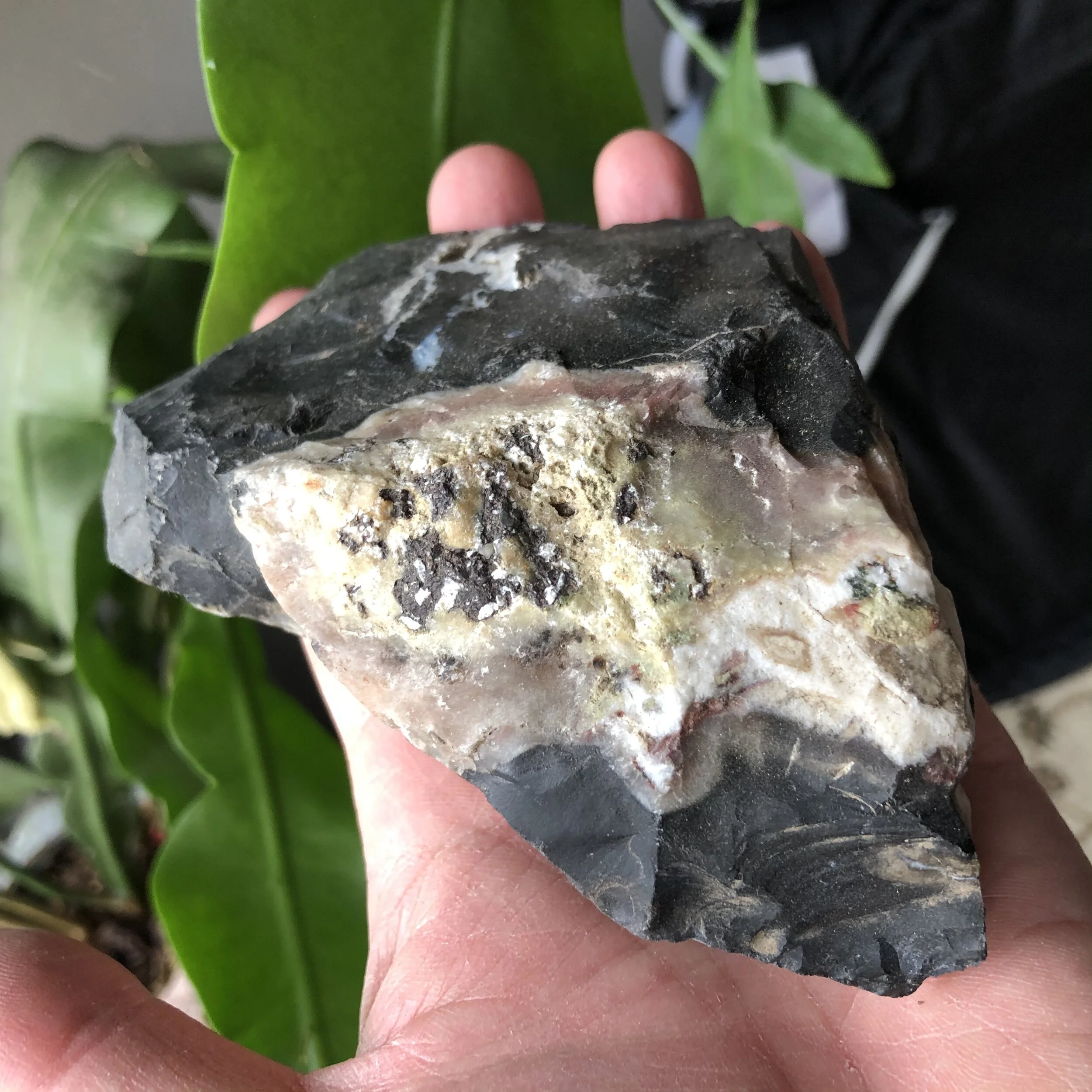 2319011A-5557-4A23-BC84-EAB9CEDA06F8