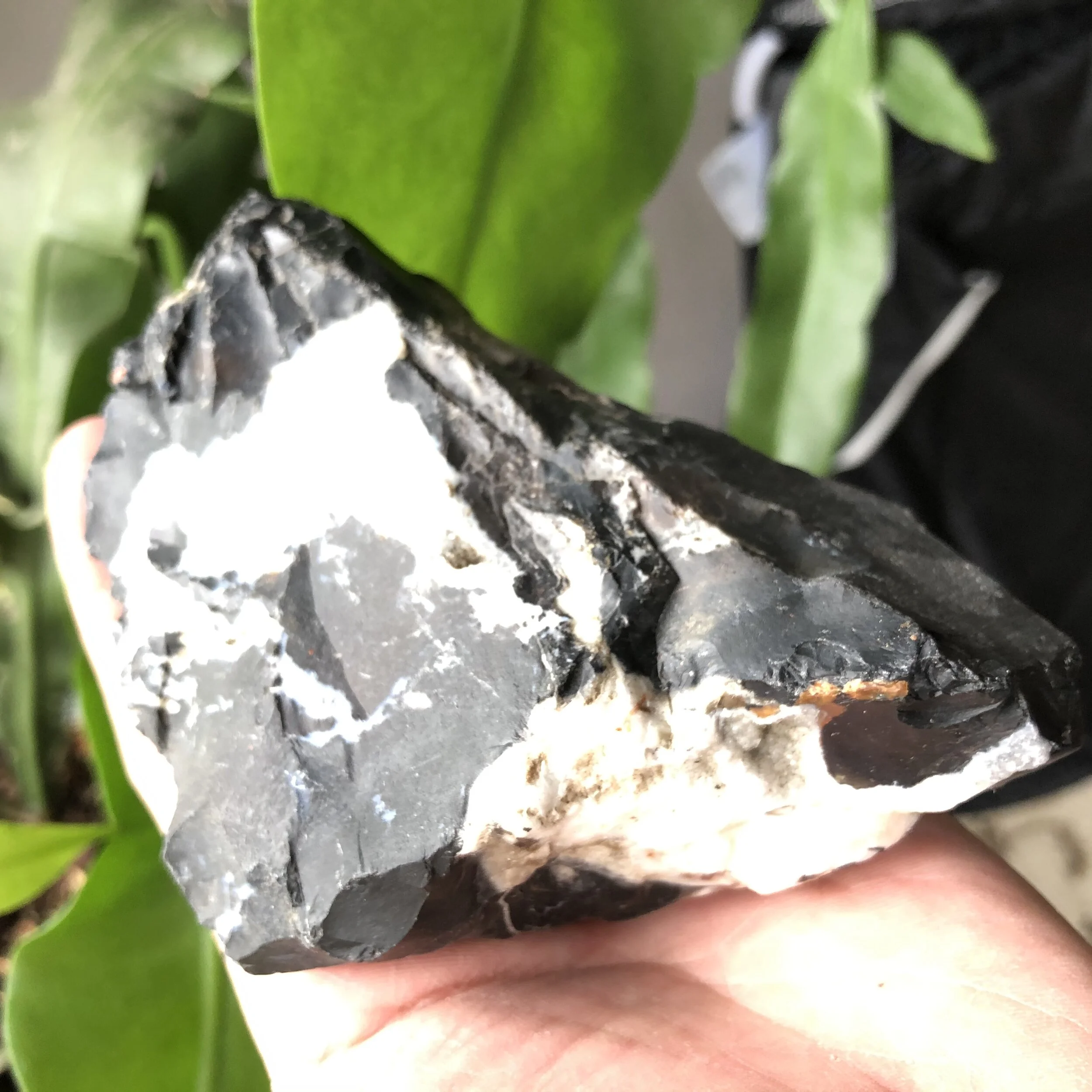 DA49D71B-CC00-49B6-A685-8FC07A607319