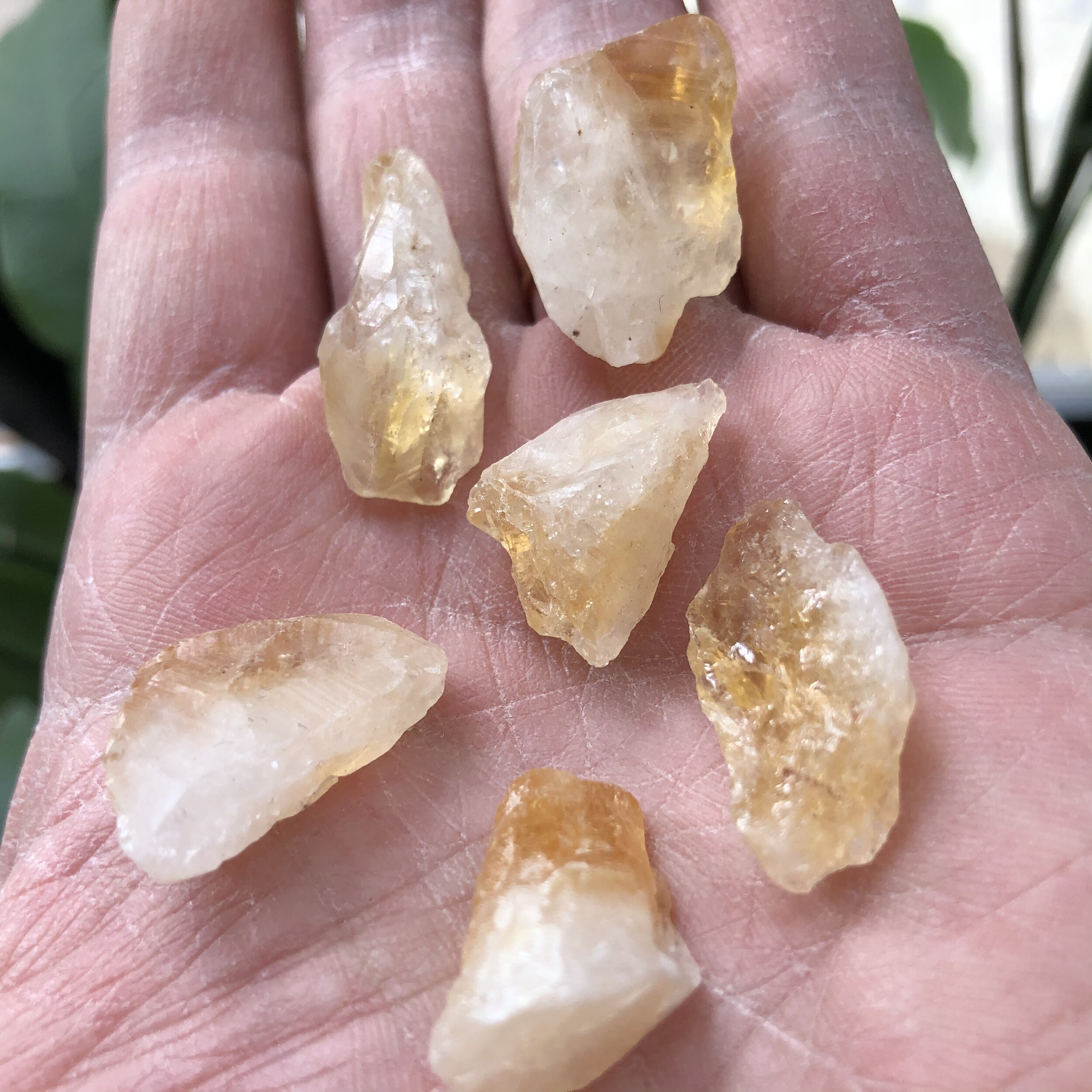 897D0624-0DB3-45C1-B382-B2837B056300