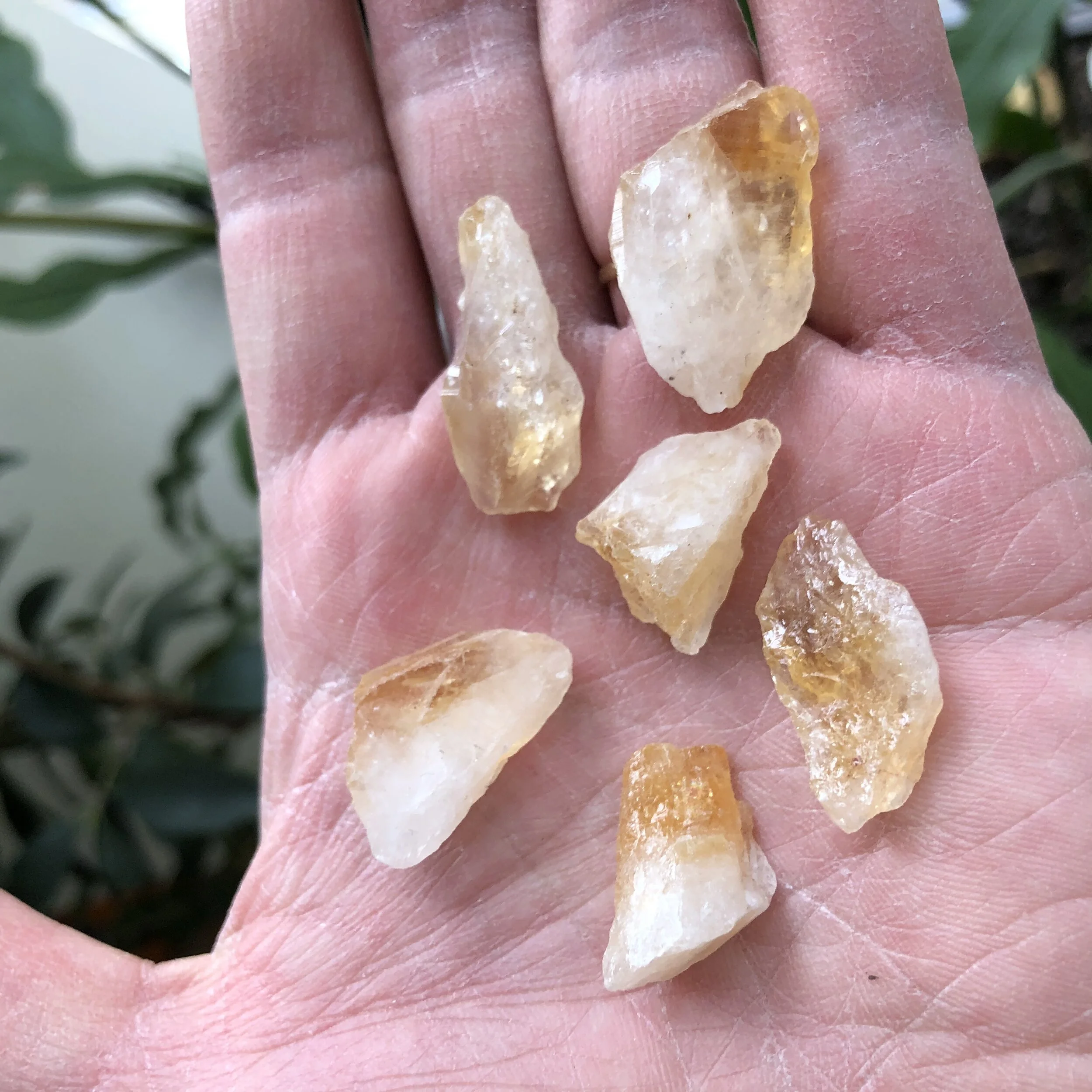 961B4BC7-1264-4F38-BF6B-7E764CA0F012