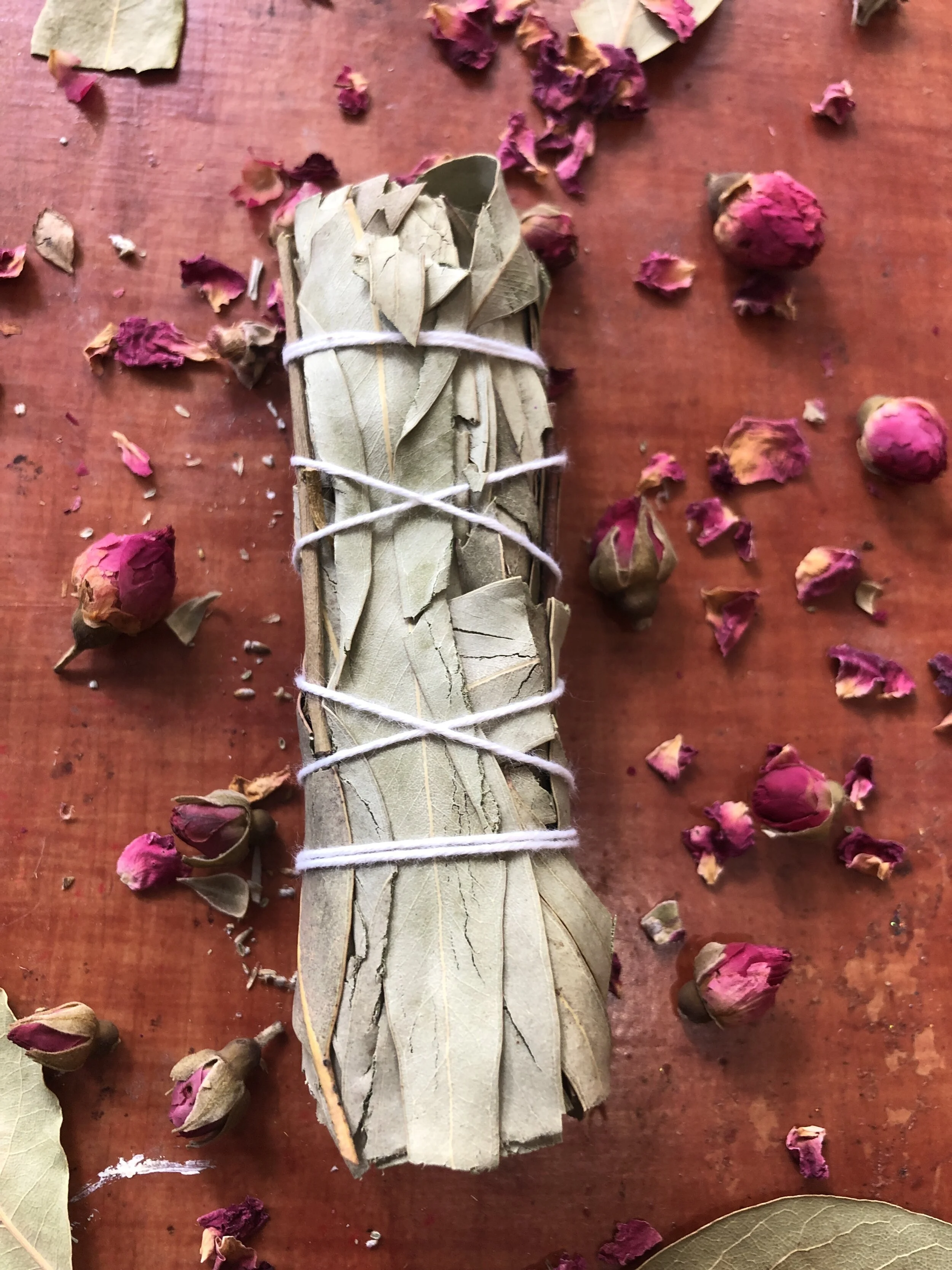 76EDDB66-DADB-4AD0-91C4-DB4CABAD916E