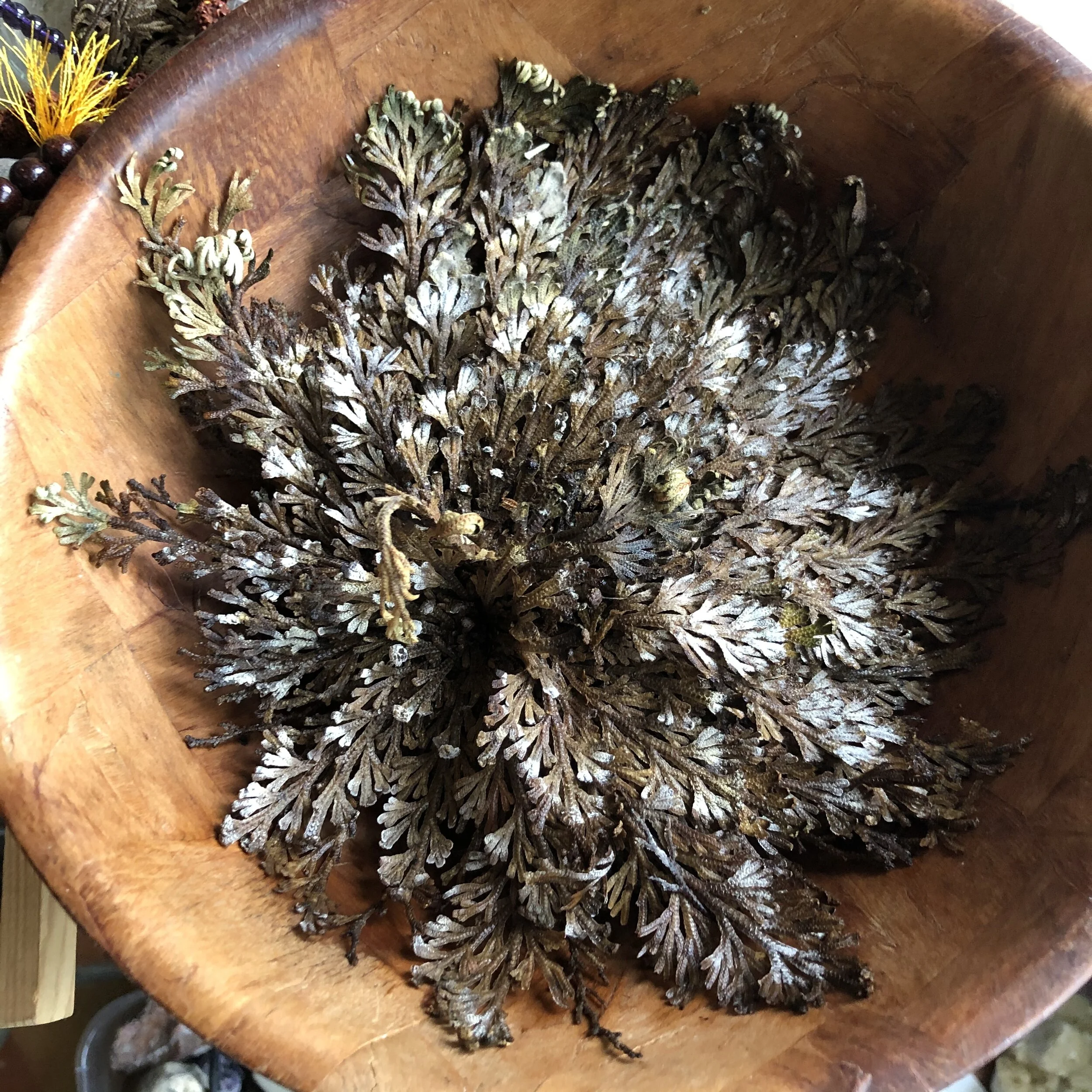 9CFA04A2-57A0-4A9E-B241-2DB45C0C10E5