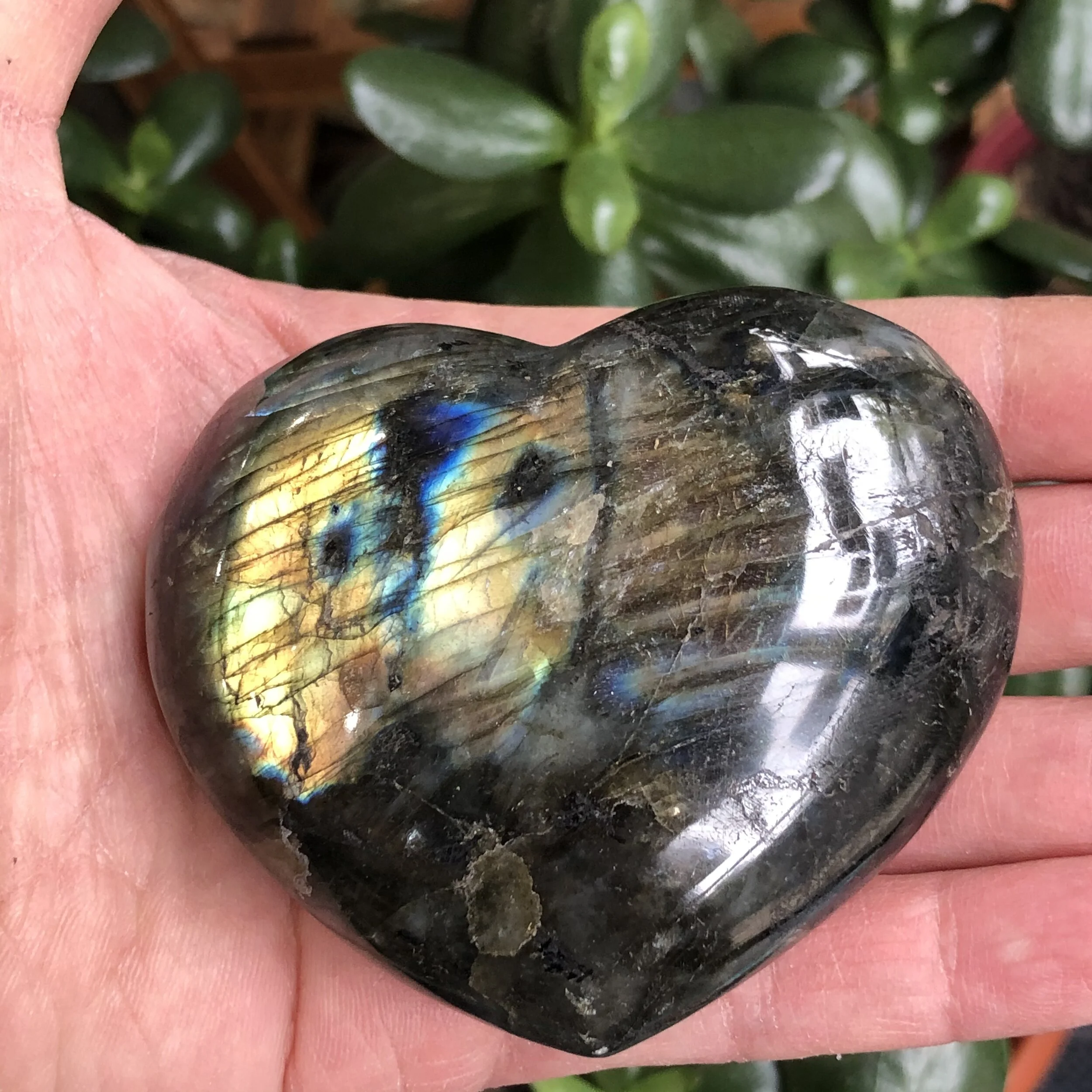 C7FD2D5A-18E8-4529-97A6-197AB594CADF