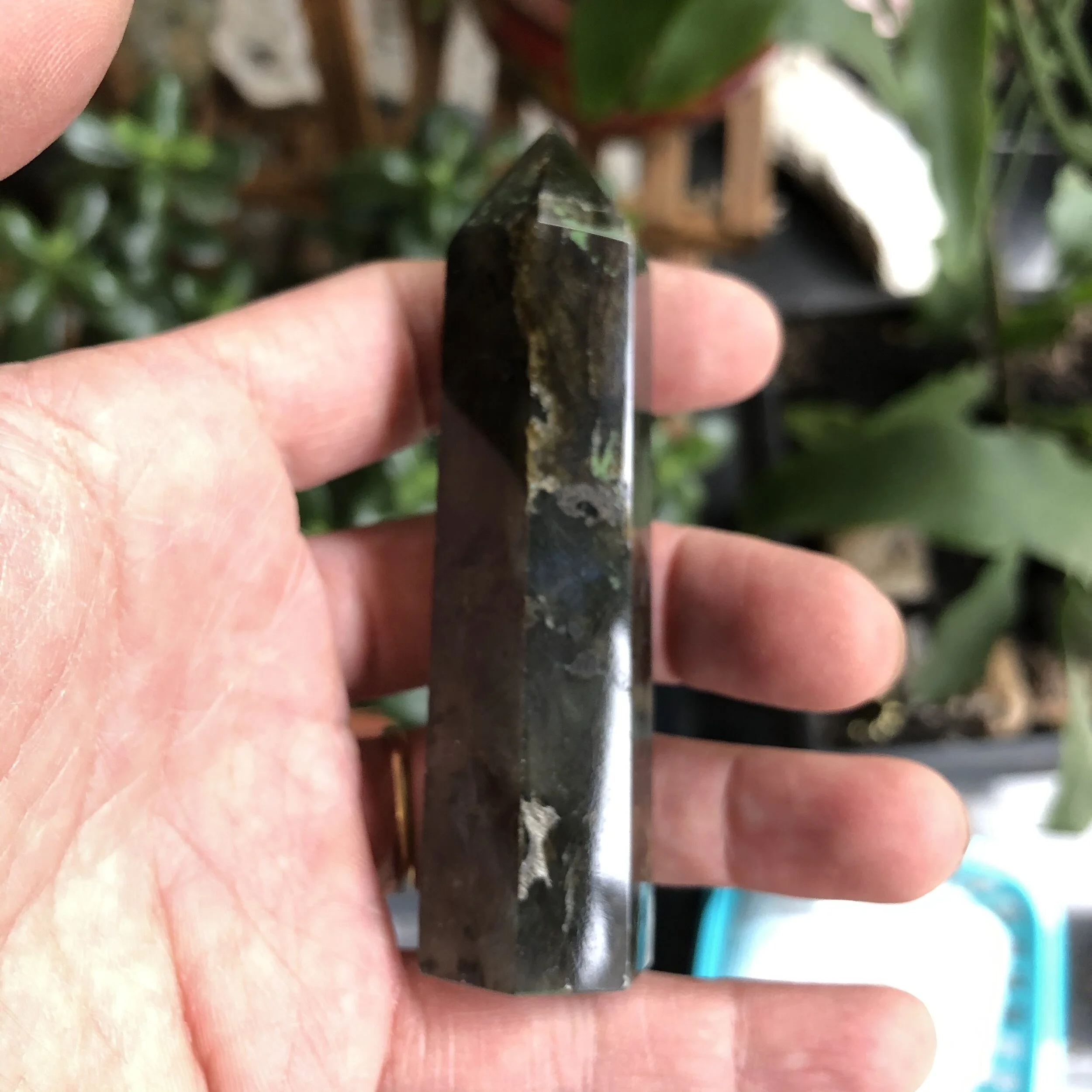 A2DBB335-8D08-4059-8D77-E26AA2FB548F