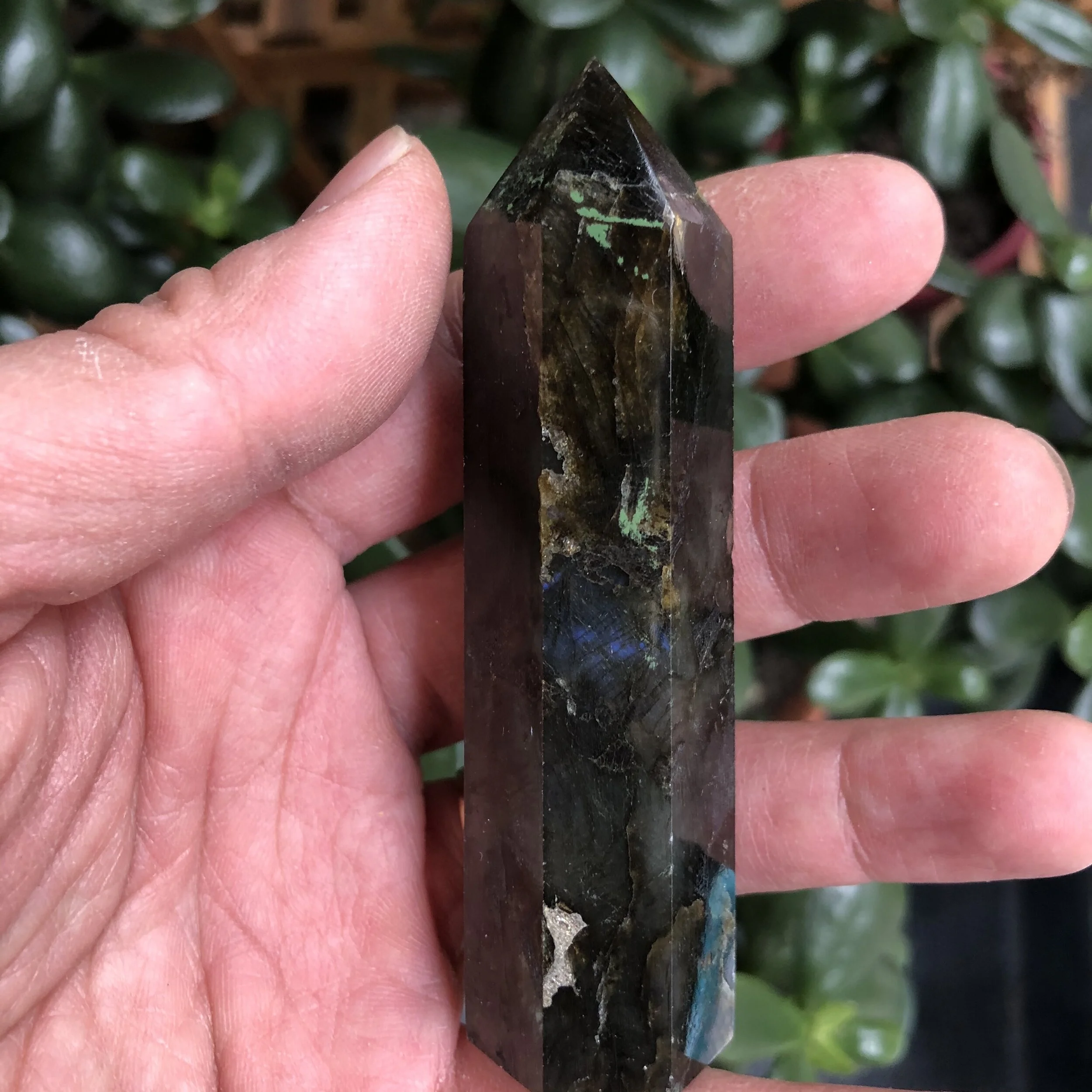 3FA2FEEB-6459-4661-9A7D-CEB4891636A6