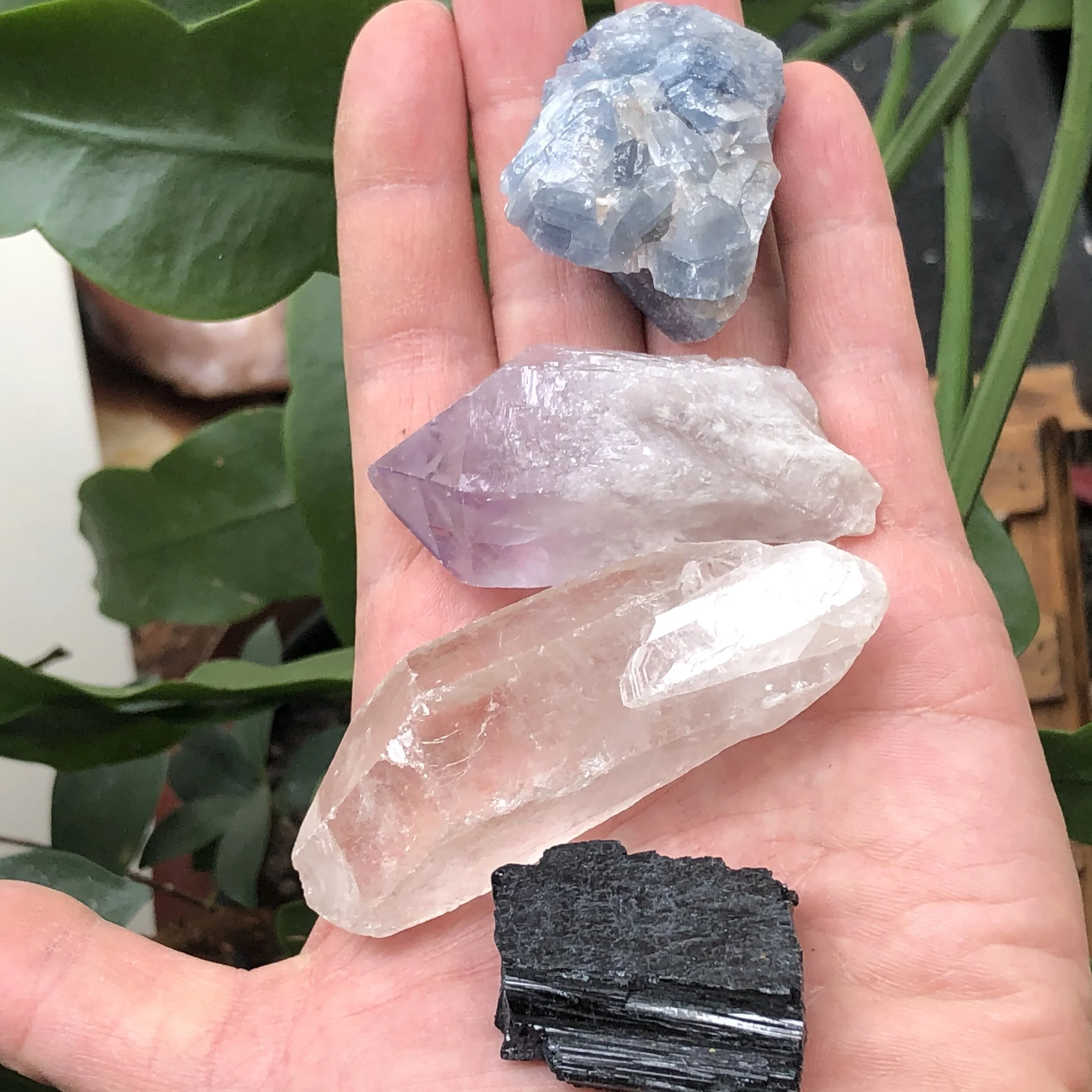 25BC0527-8269-4E9B-8159-4F46E5DBF945