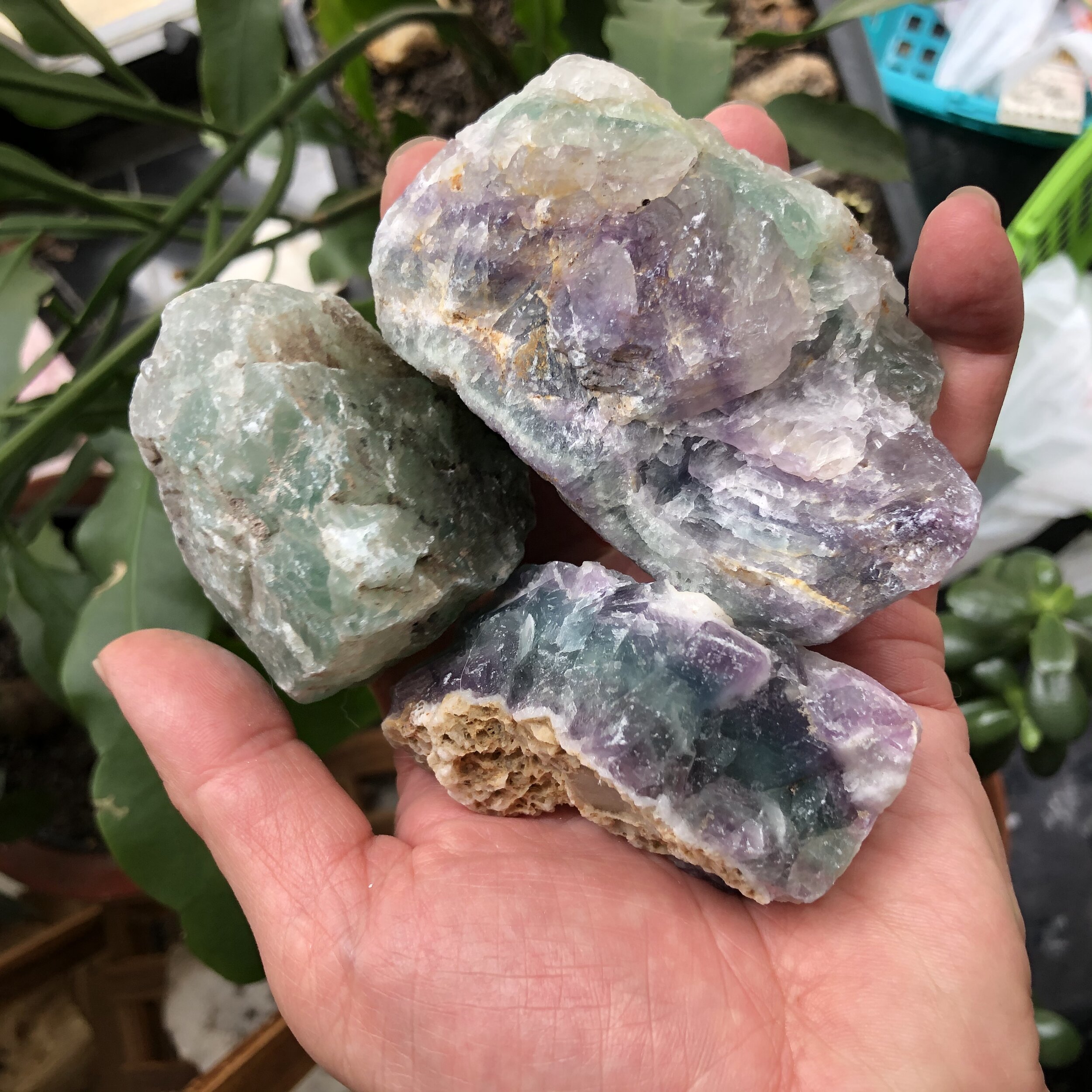 1D631829-FABB-4A57-9C97-1FCD30851427