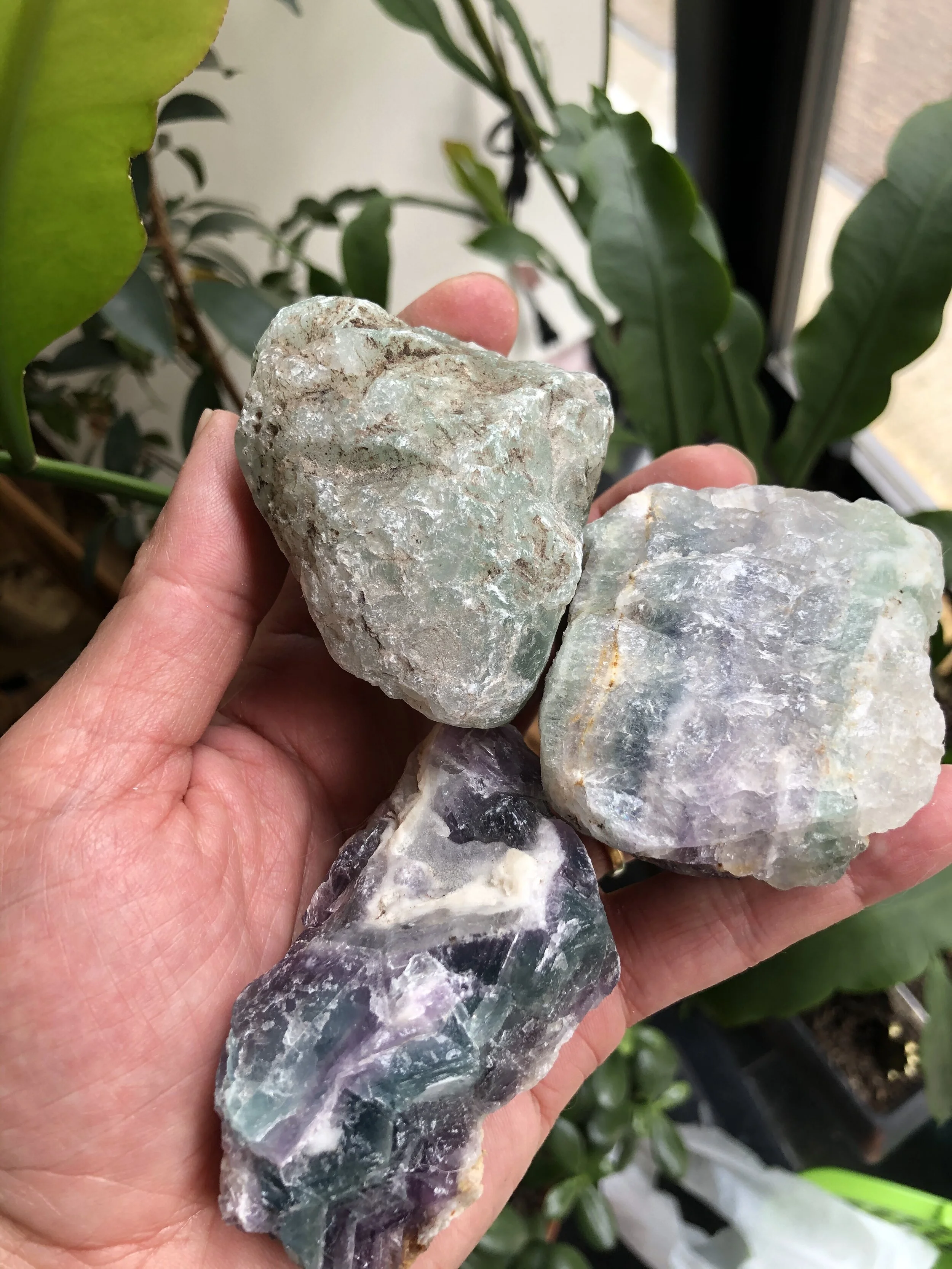 6F931320-3C20-4358-BBB9-EC2D3E266119