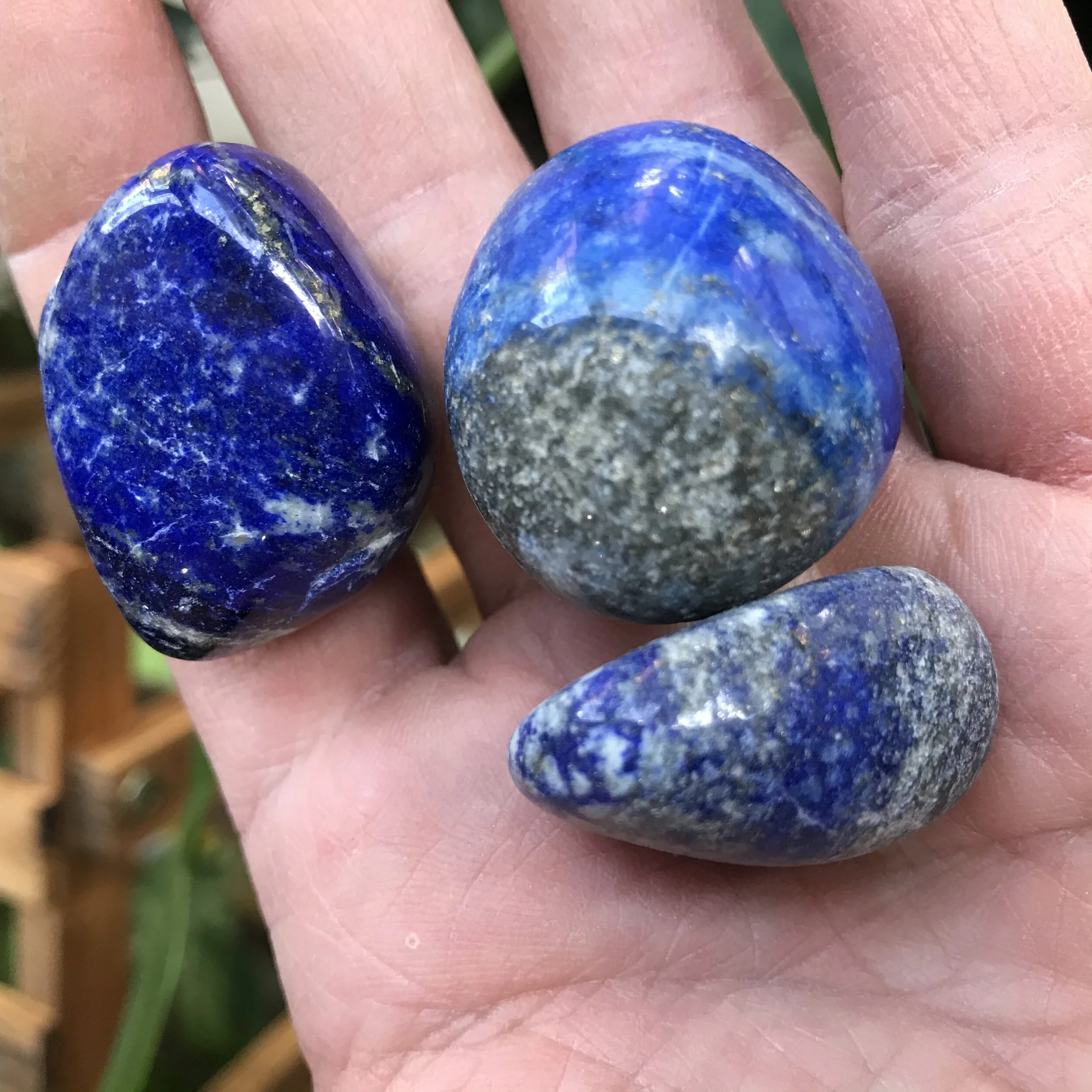 6EF92B00-B021-459C-8020-FCD92DE0F93A