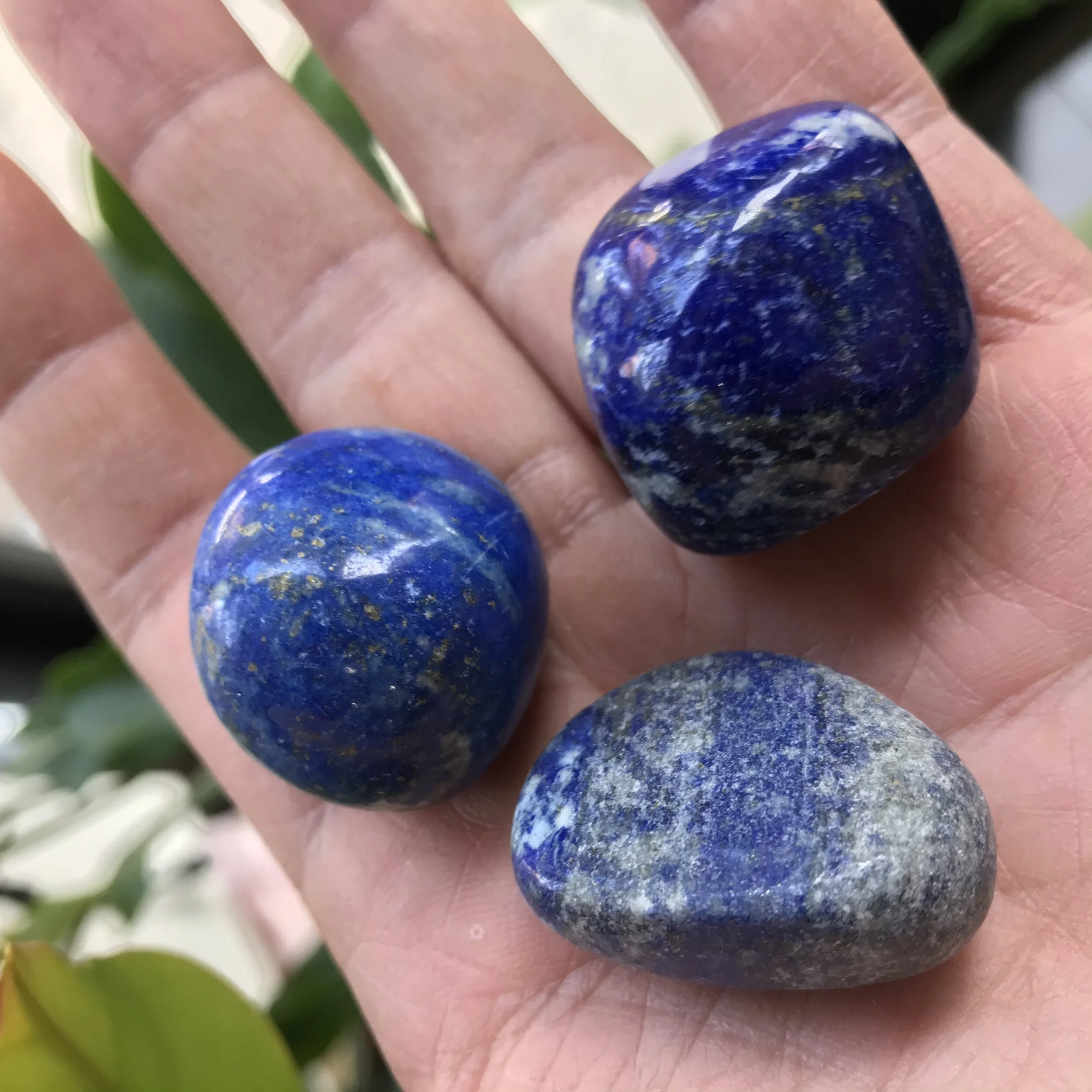 1469997D-1CD6-42E4-957D-B1B1FAB5B8EC