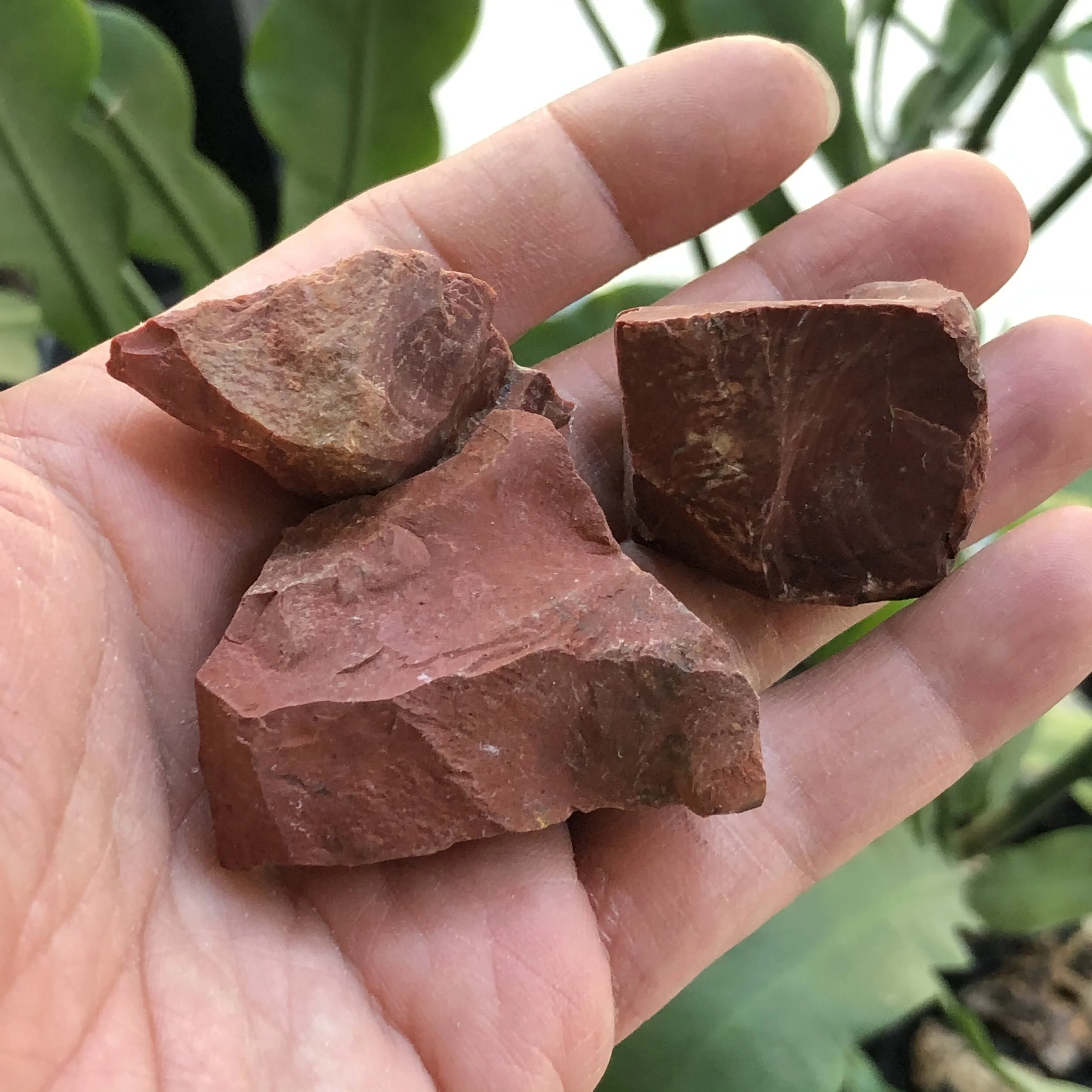 A3671CB7-69C8-458C-B7A3-B7BA5B3B938F