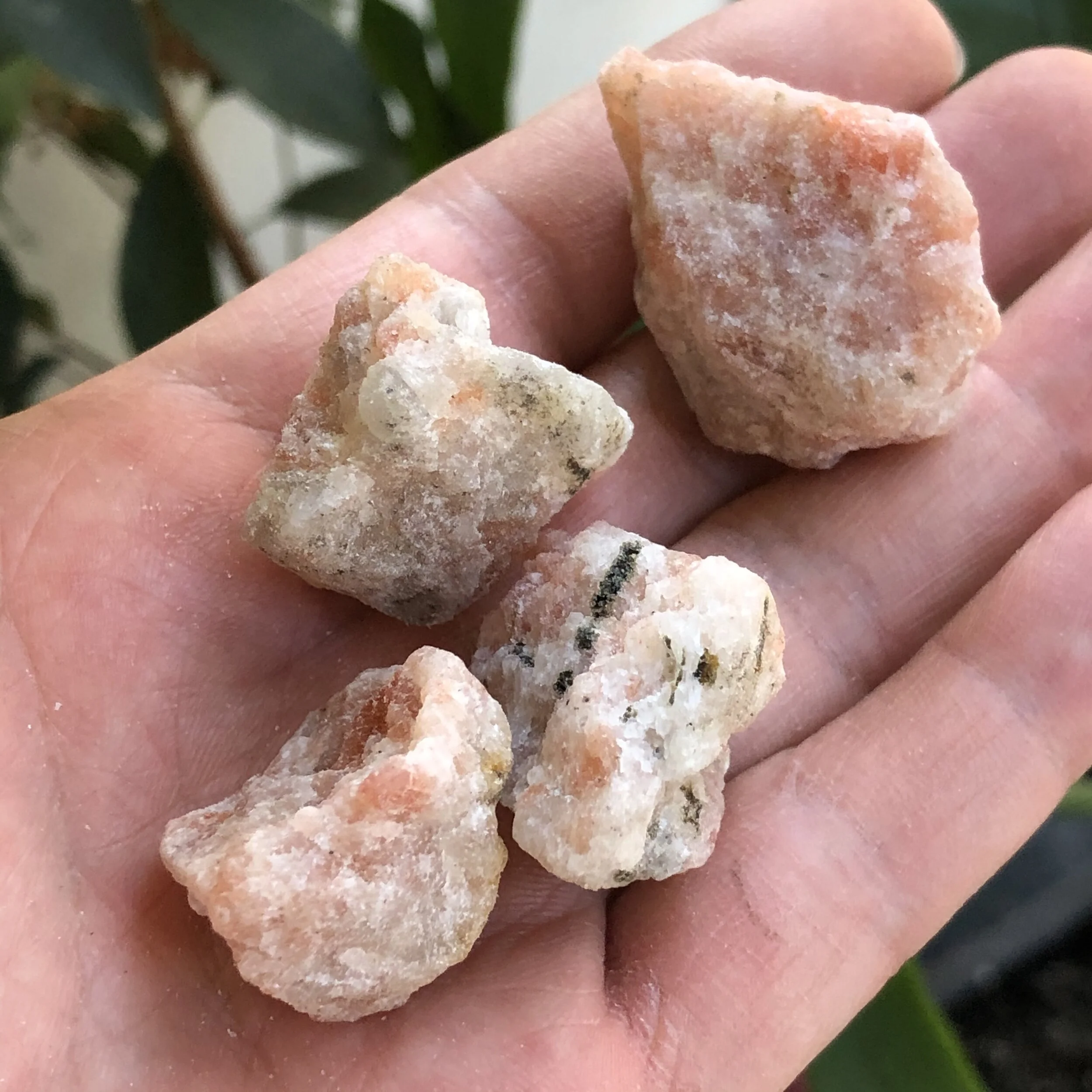 1E99C6DA-55D1-414C-9424-E7CFE88F2007