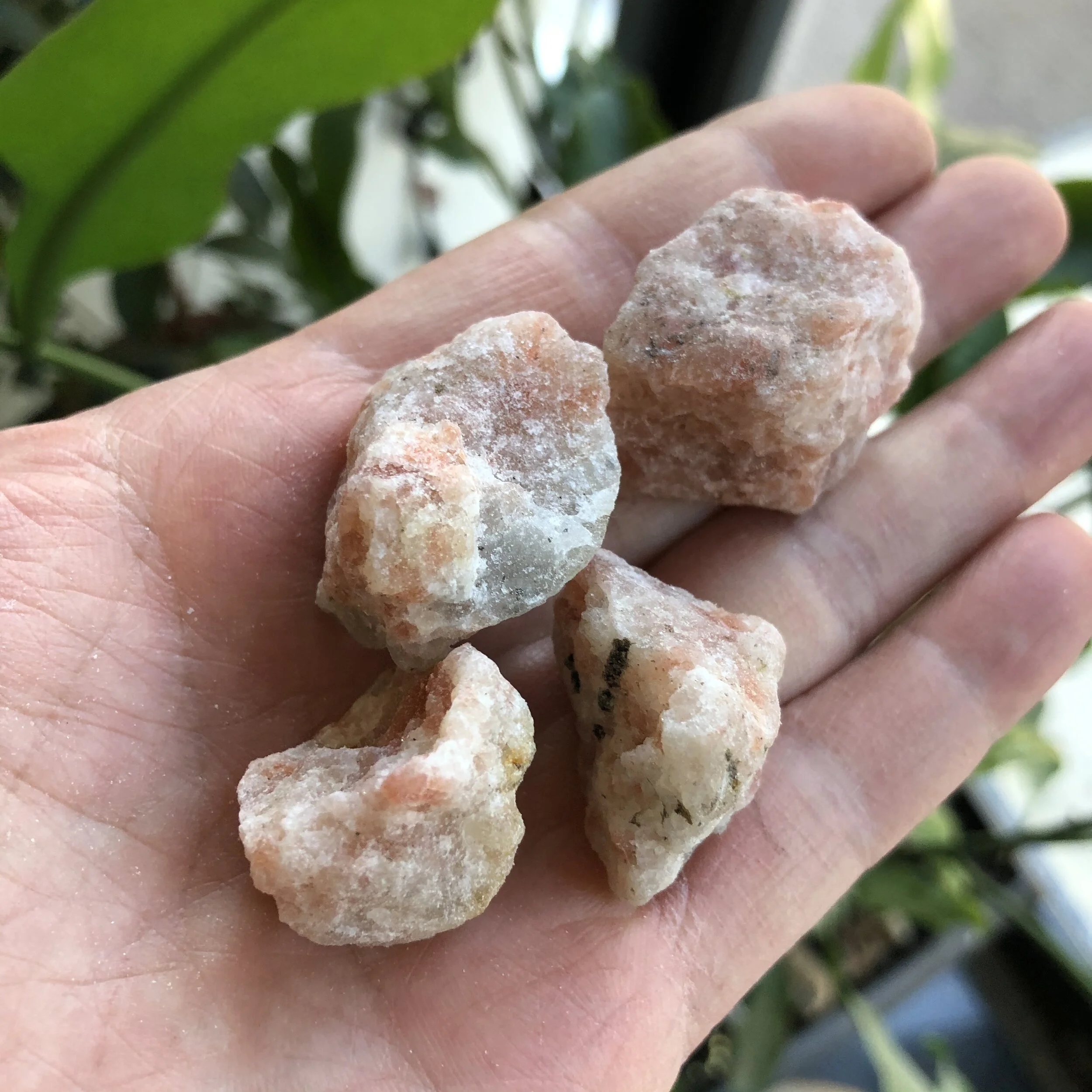 82CB6E16-1083-4010-8043-00DA61393D0C