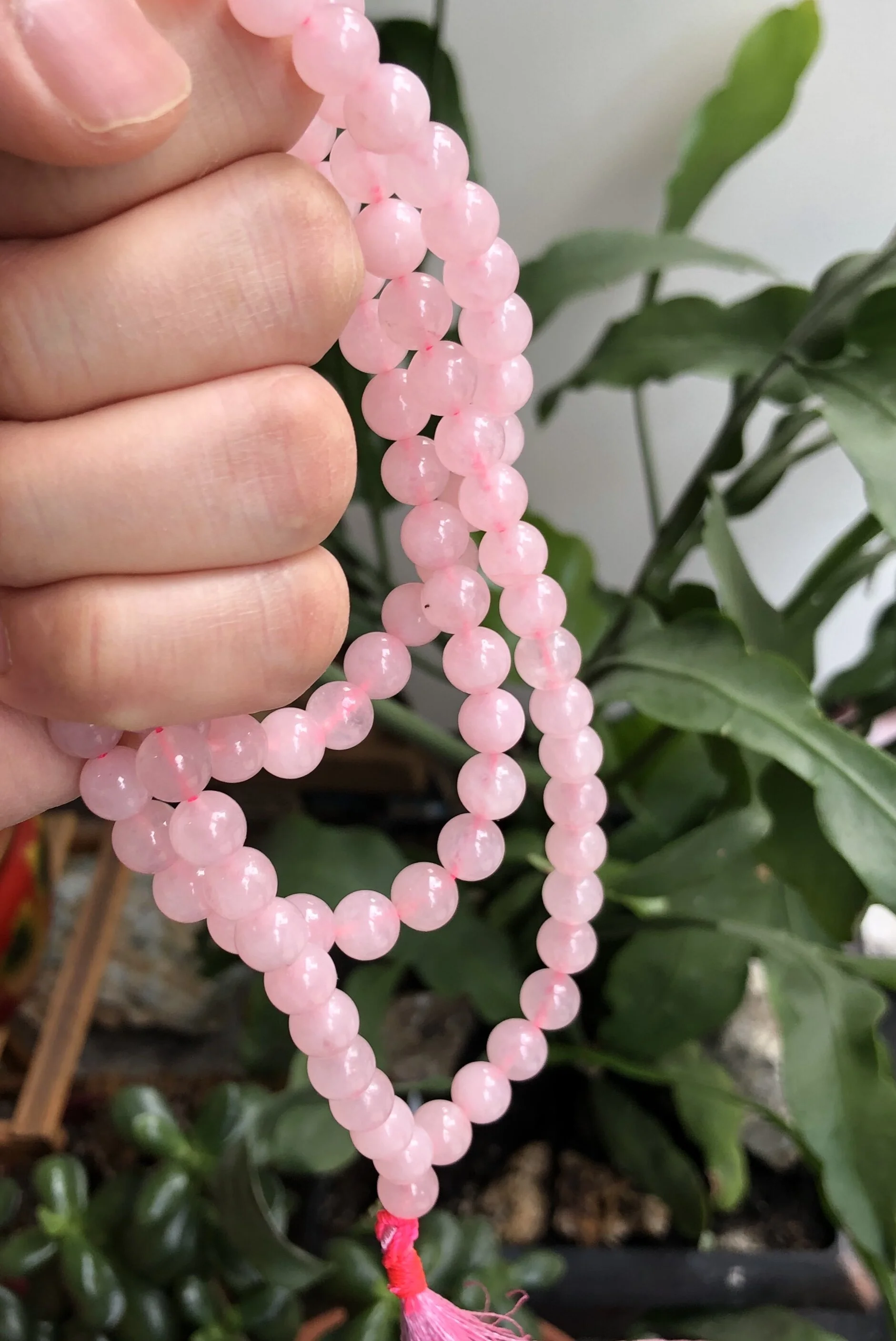 5E610218-E73A-410B-A1F4-DC77C9F2B73B