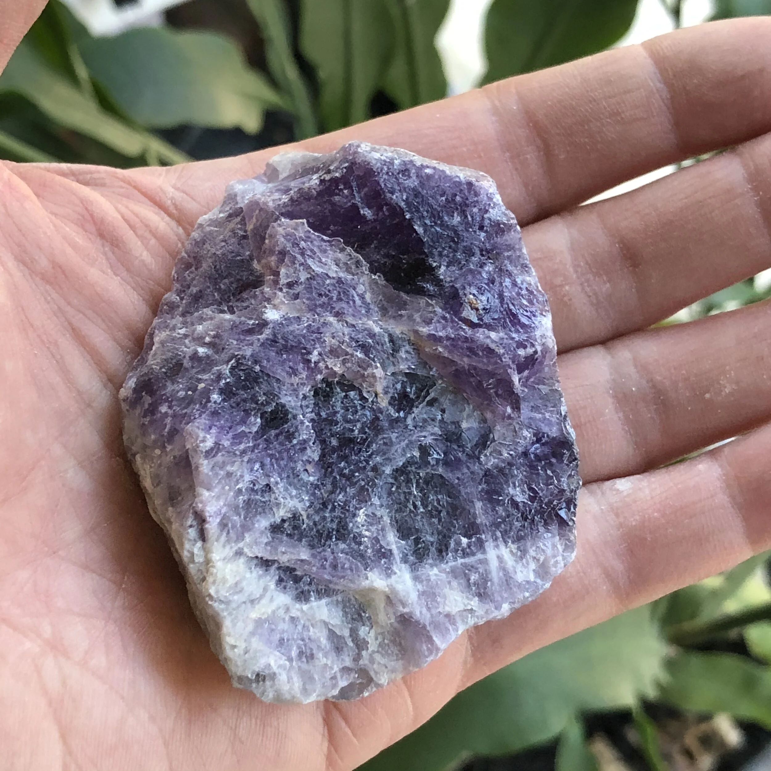 F178077F-ED75-4E1C-9B49-E8BA3EC5FFD6