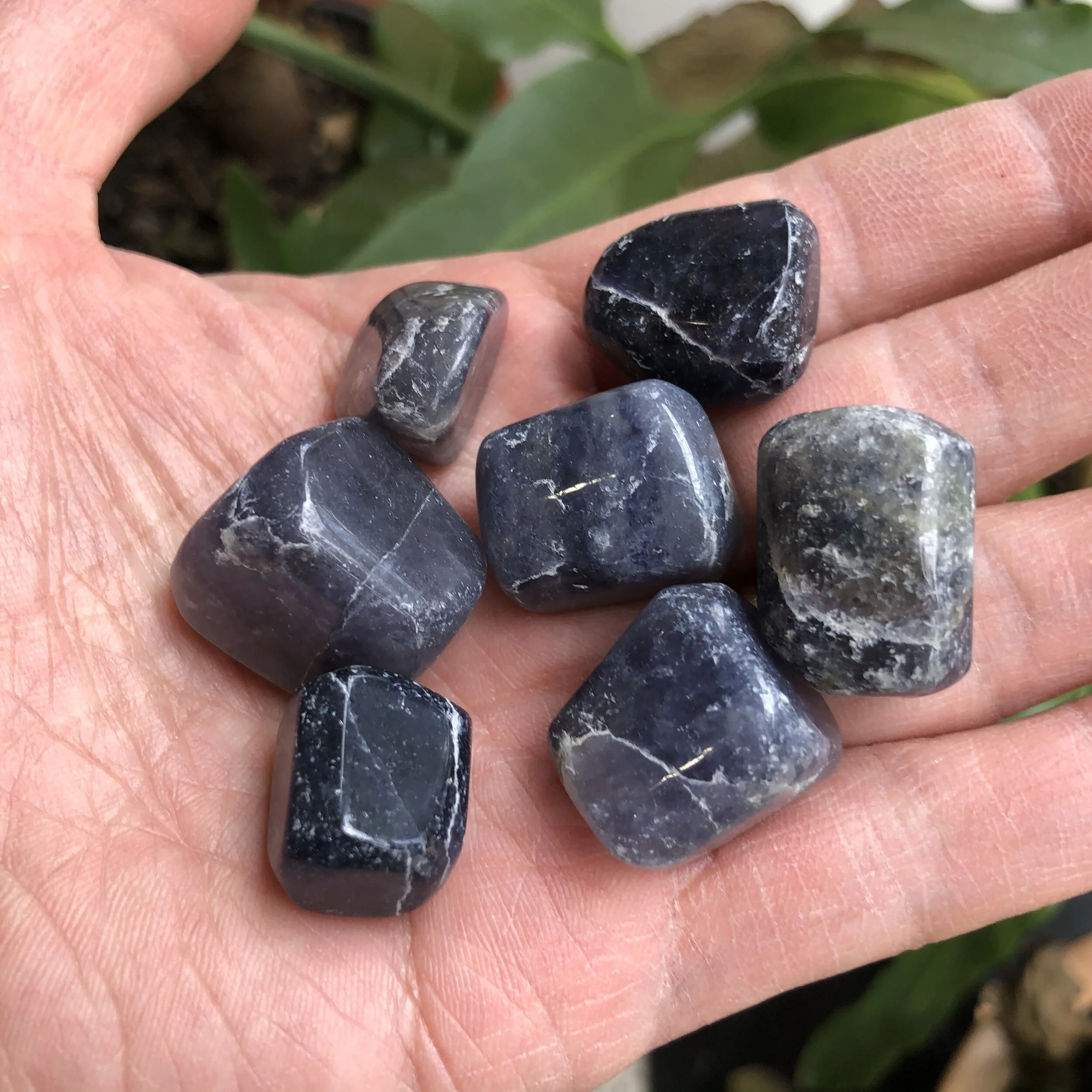 4B675F82-6A42-4125-9CCA-4F6ED324A128