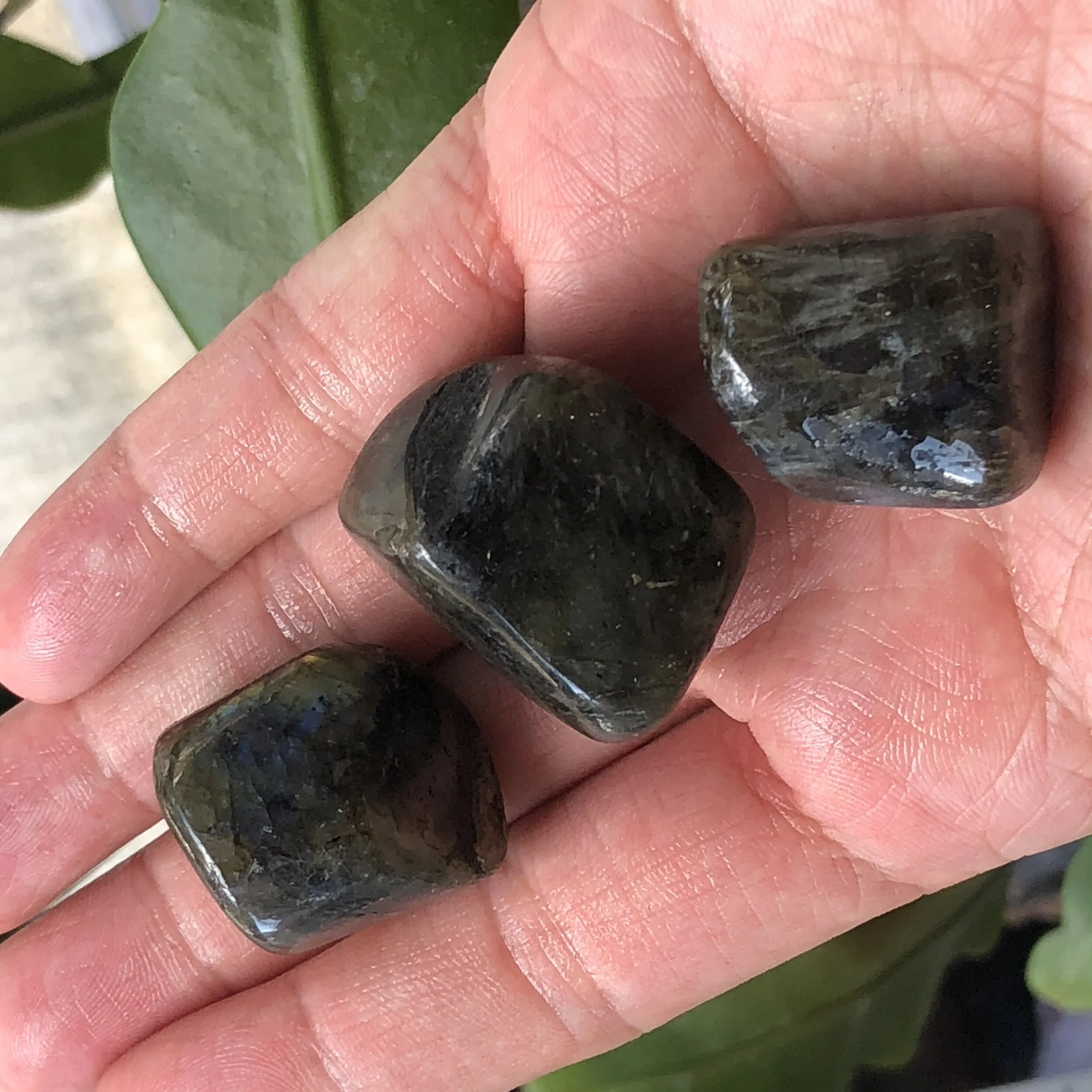 C0176113-2B9F-4415-AEA4-9E65C0DE3595