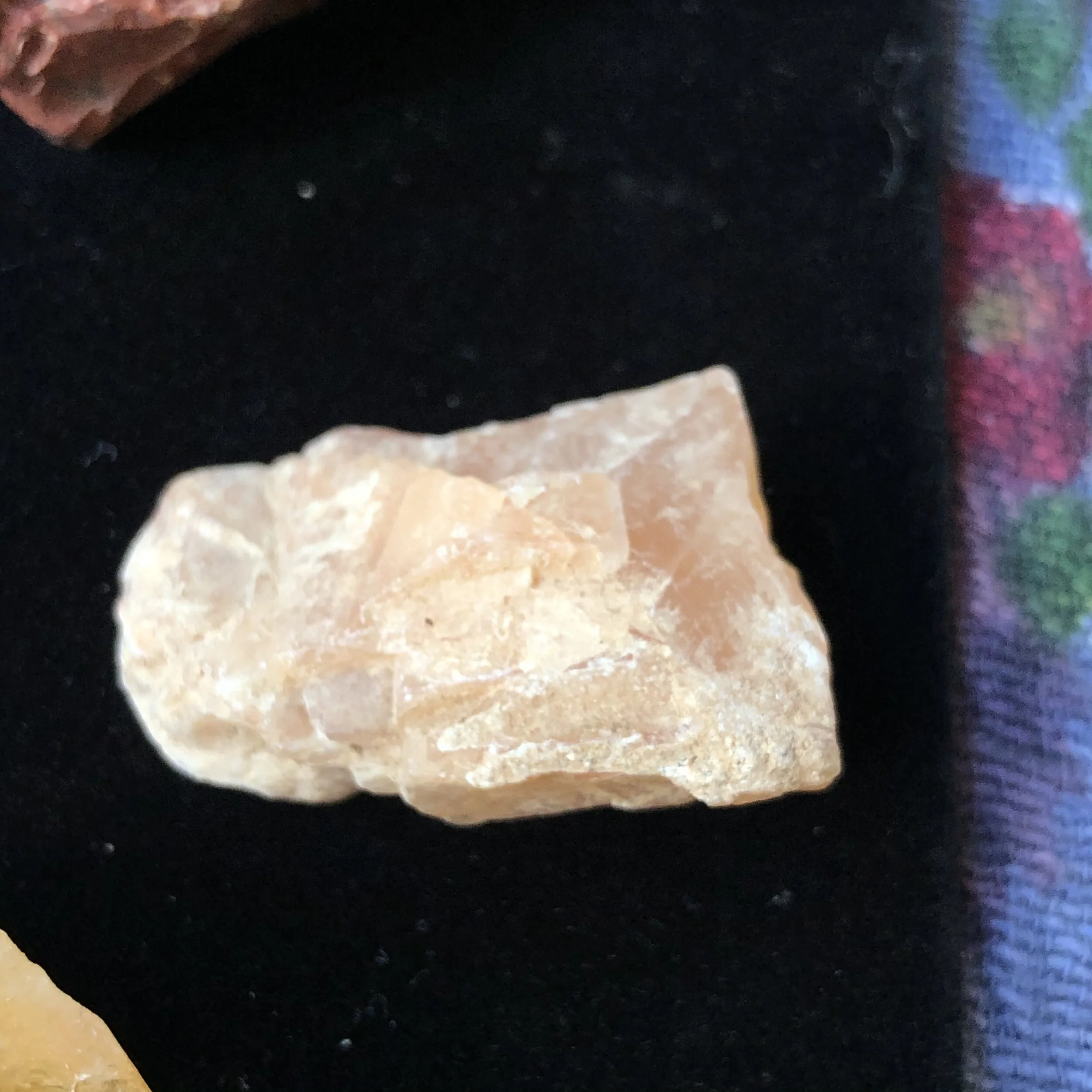 F16ED1C0-88B6-427C-B9BA-3303685EFDAC