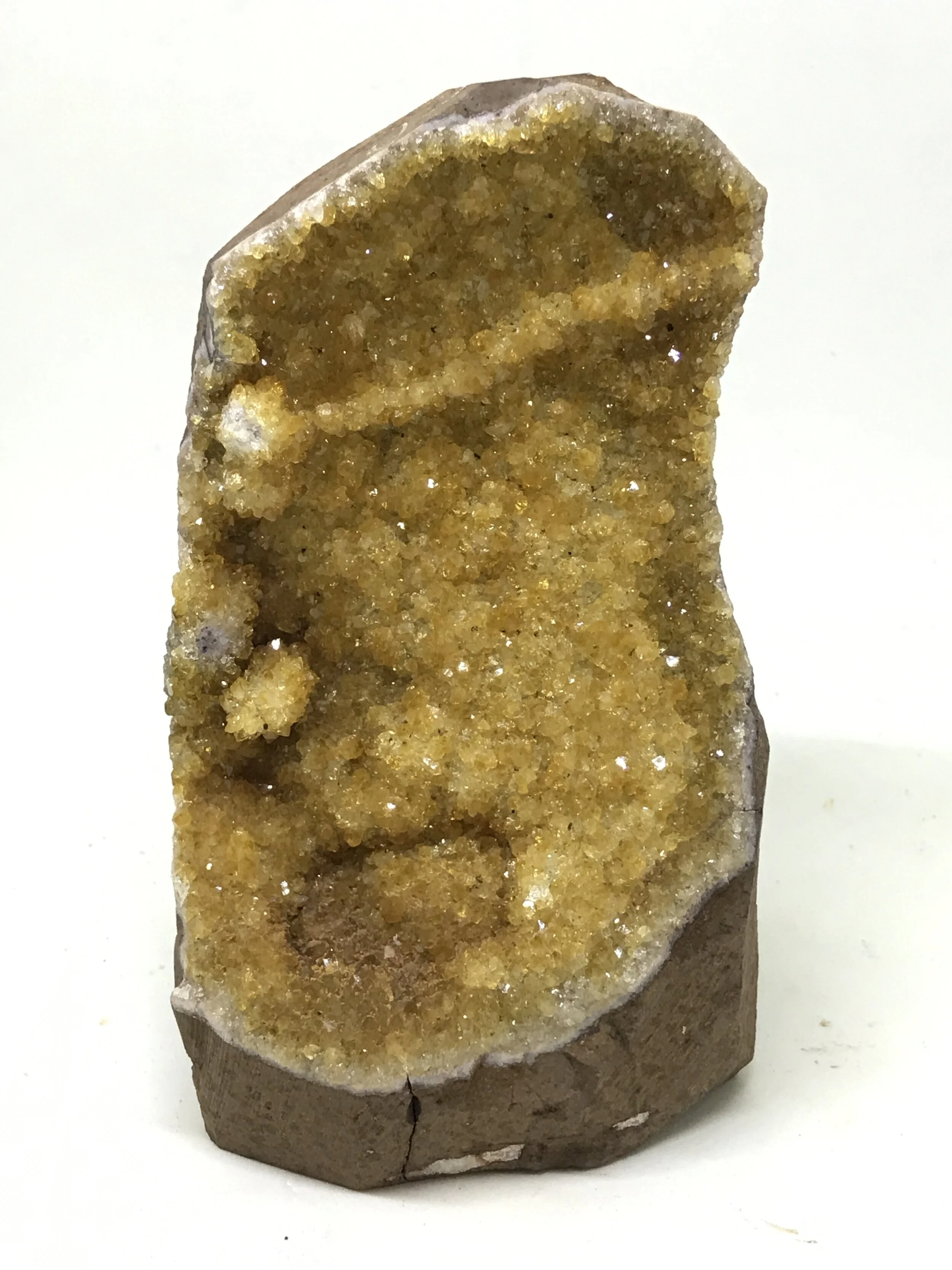 D3DC7B16-BDF7-4B7F-8F1E-FB2E5CCC2018