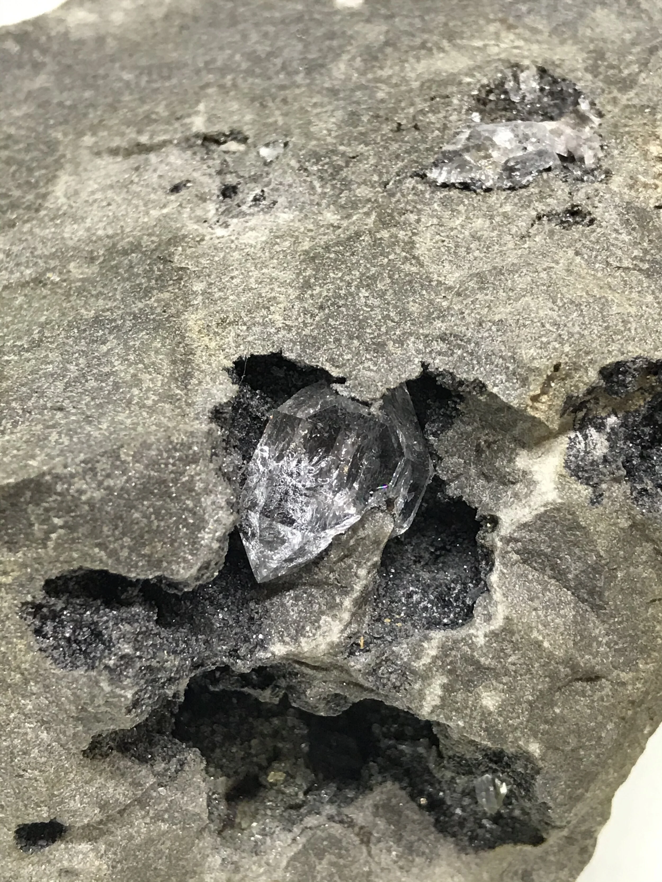 FD1A66B6-D468-4C07-B9C0-2902FC3F80E2