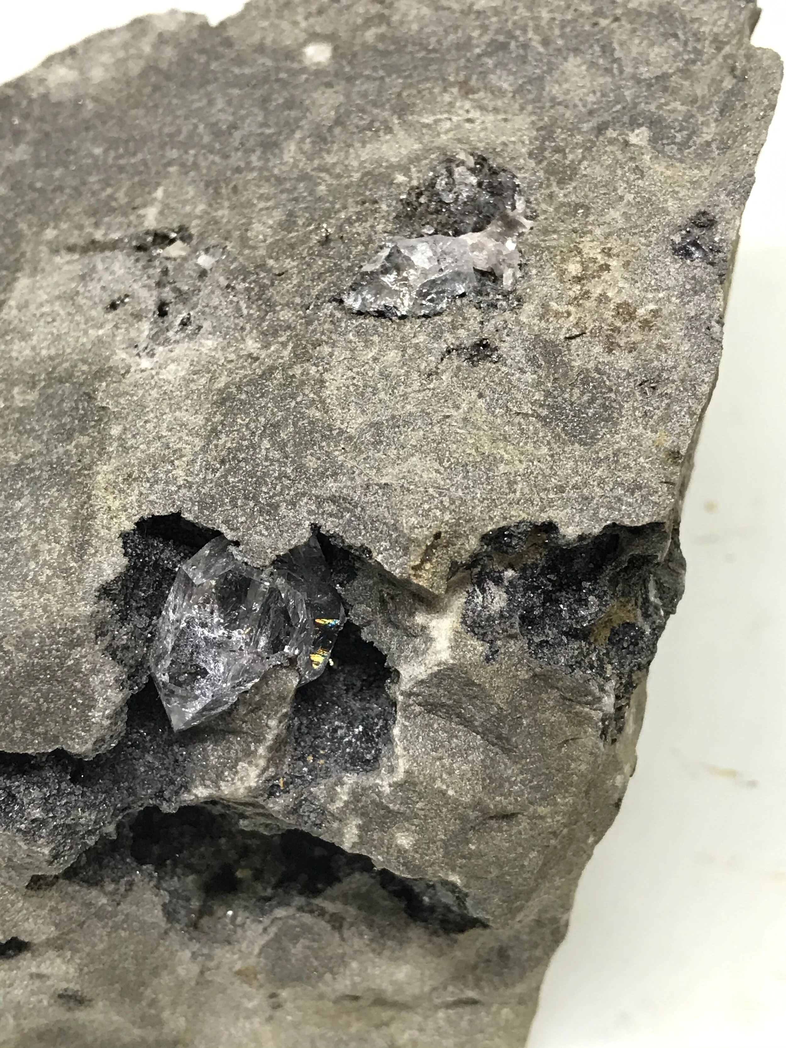 5FCEB699-599F-4E9B-95D8-B1AF3292E1F3