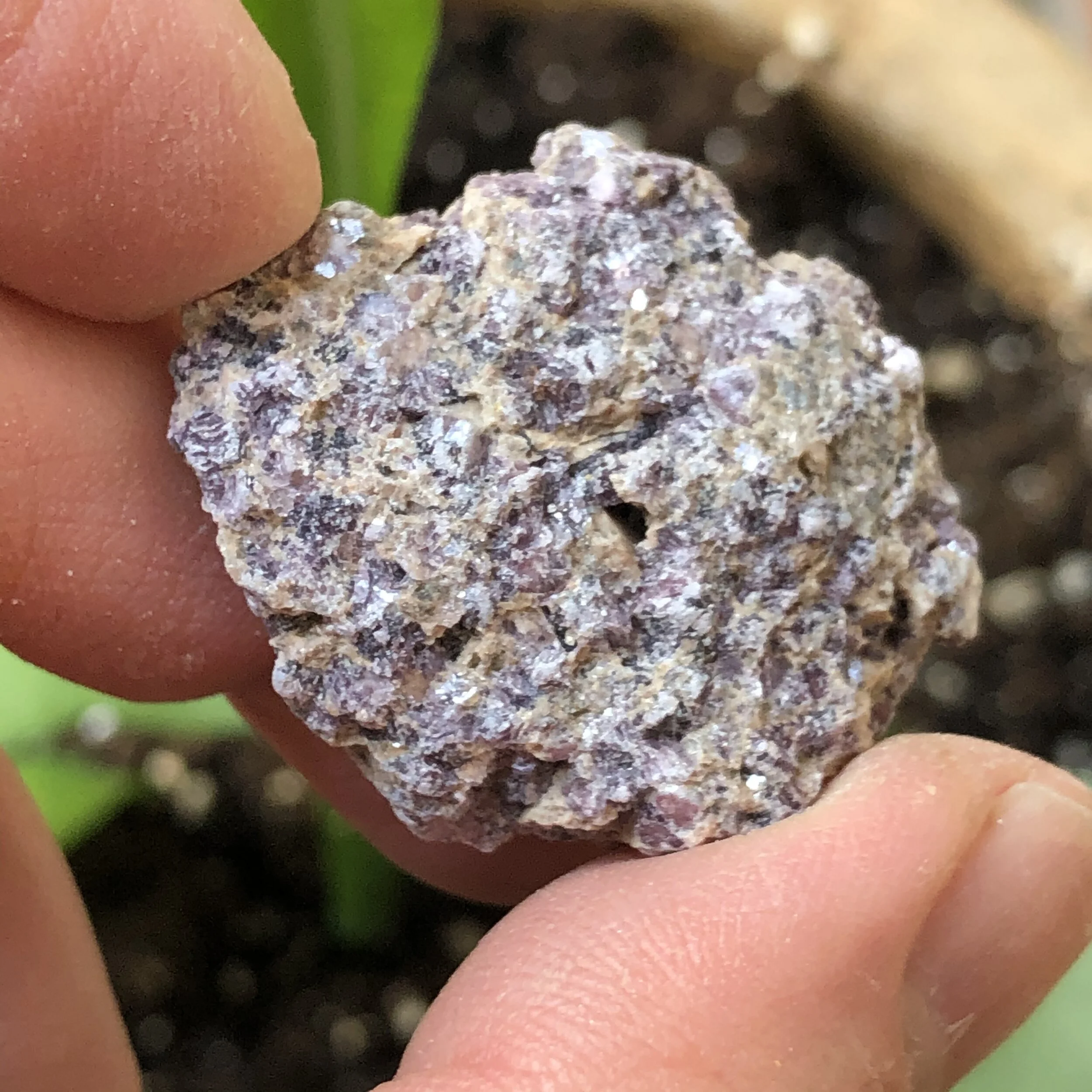 D050929C-73D9-4610-8EC2-16105130D8ED