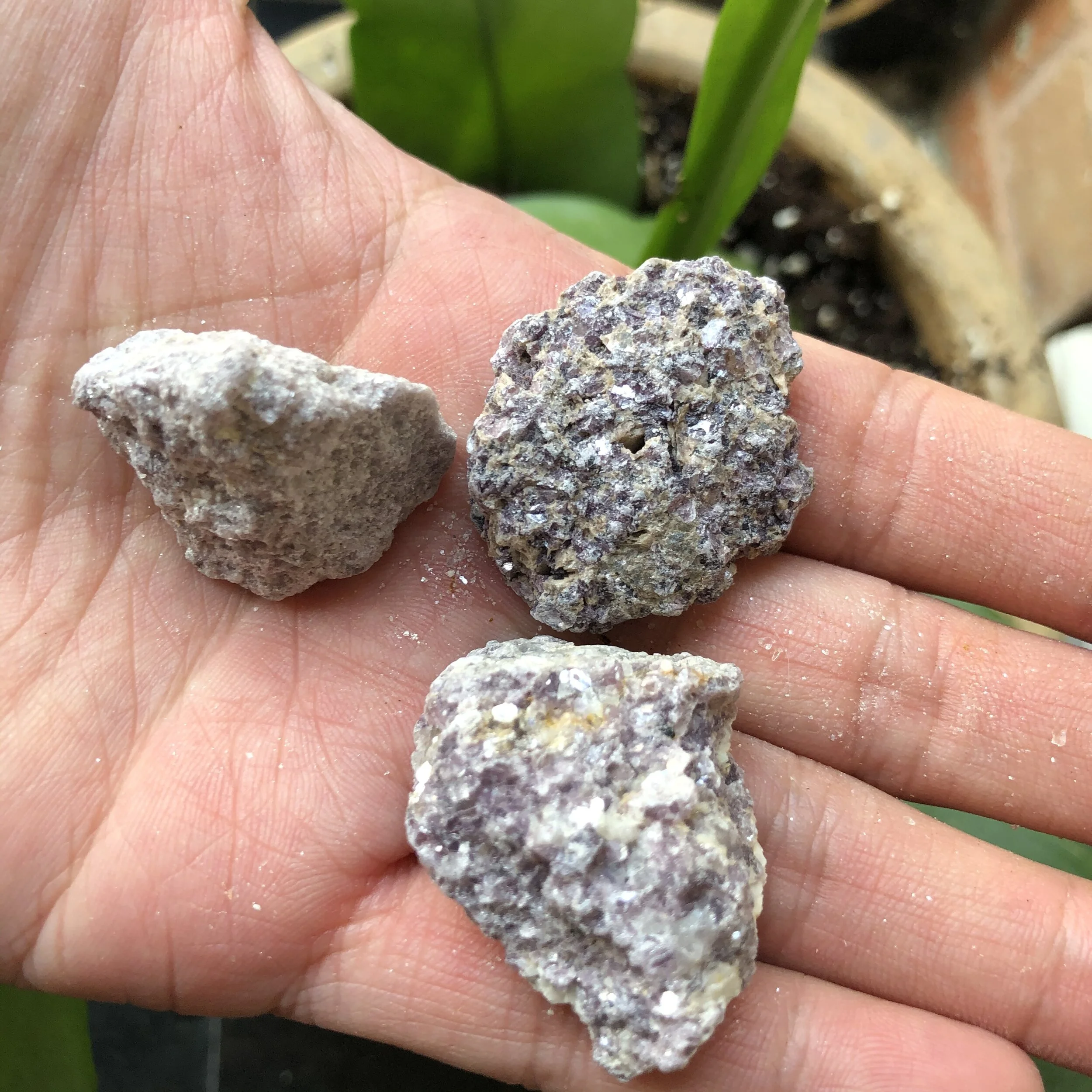 F13D16FB-DC1D-40AA-AF4E-4CECB74E12ED