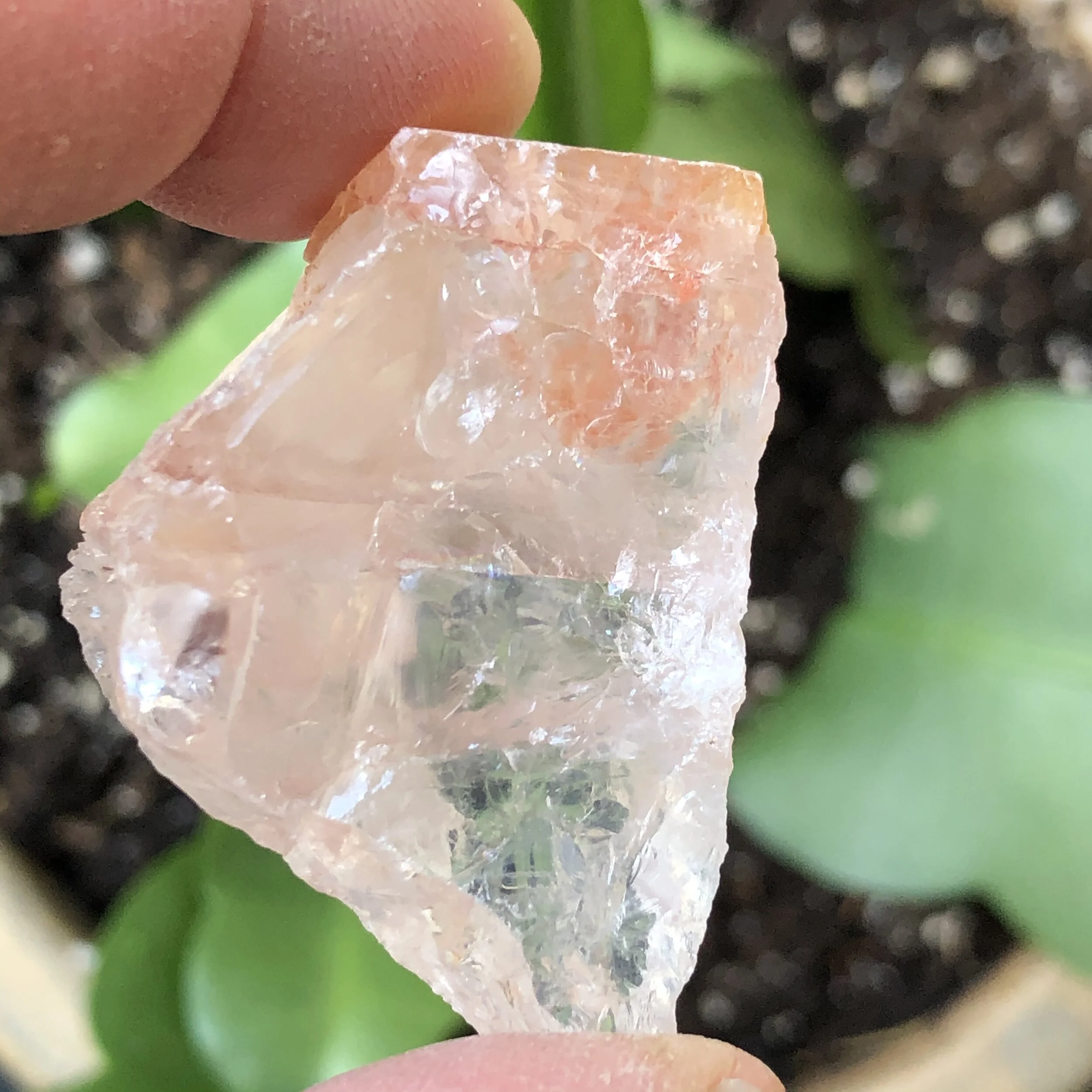 FD69BEDF-F03E-4A2C-8286-F499BA10E3BE