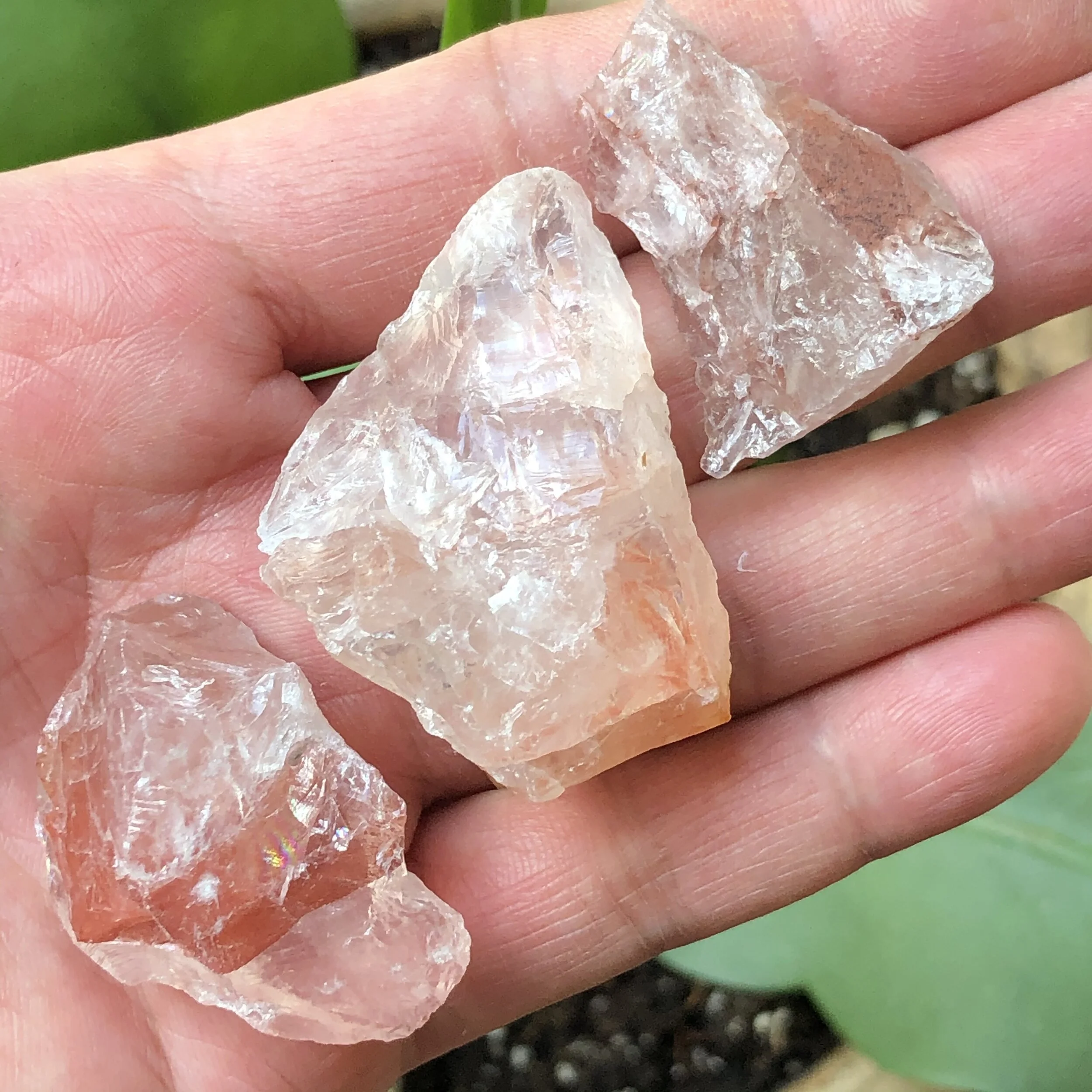 EA3F89D0-4FF5-4D96-8426-1D276671D52E