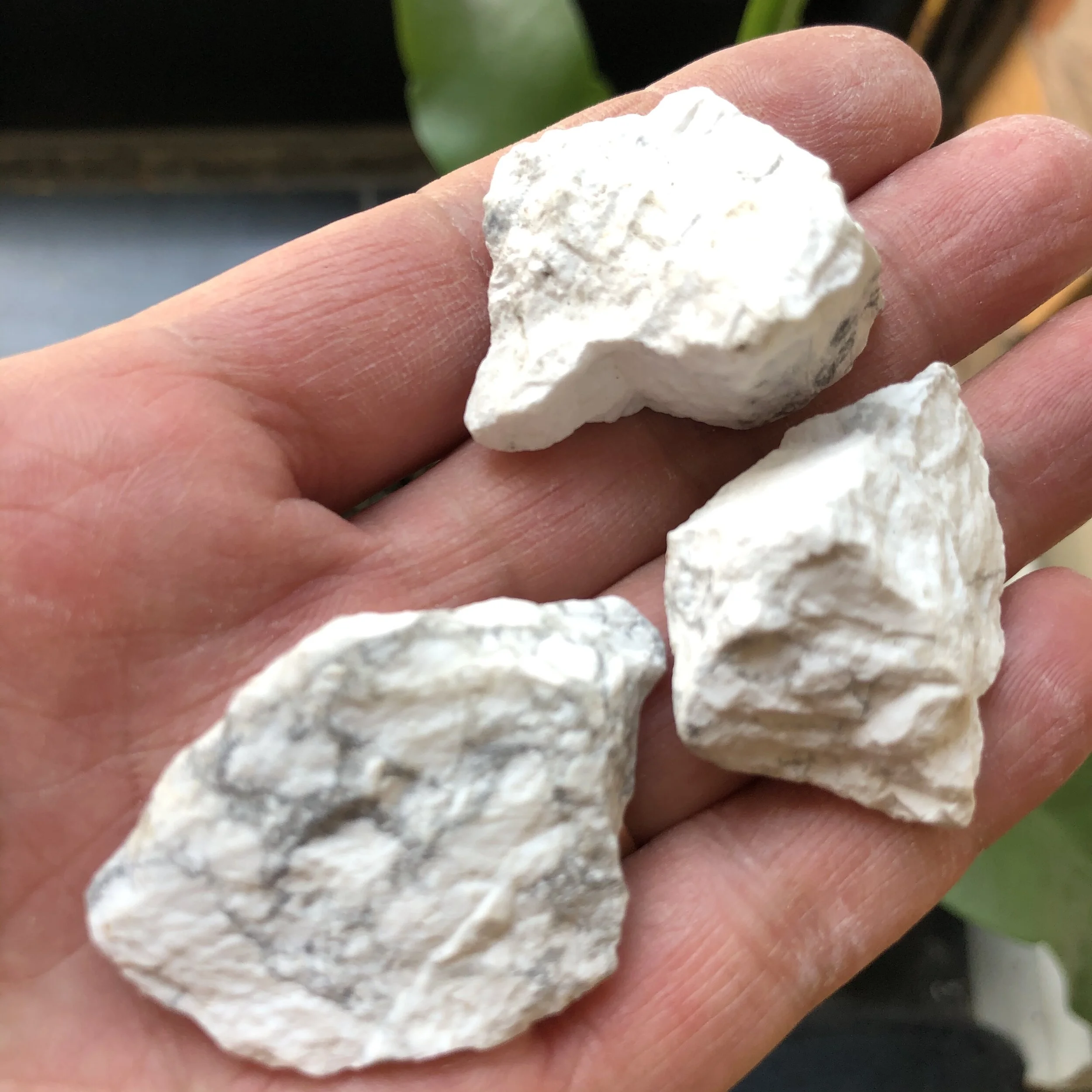 B18E20B5-BA03-4A00-8AFB-0CF35ABA7487