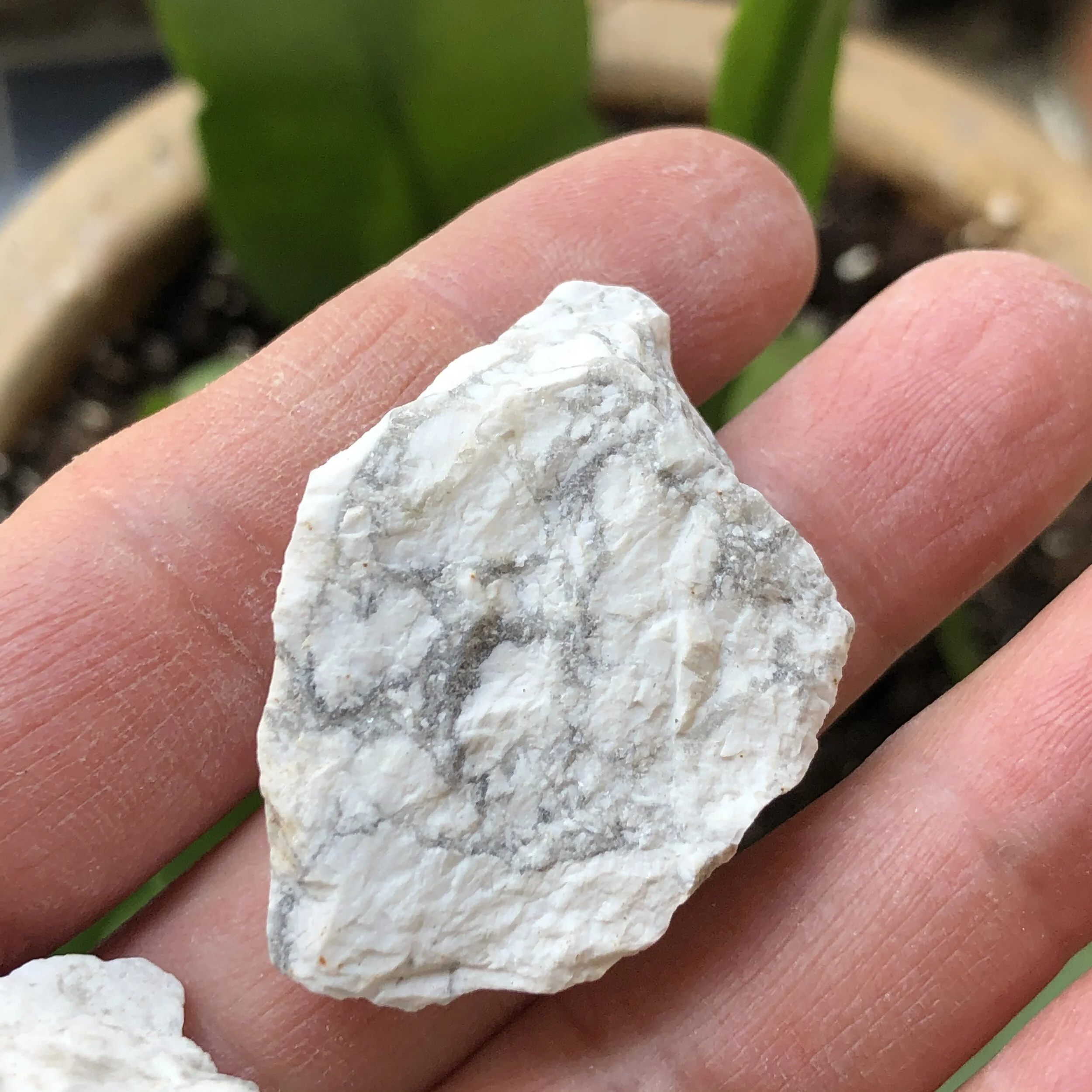 BB522C35-76C7-45FC-8362-07990217B375