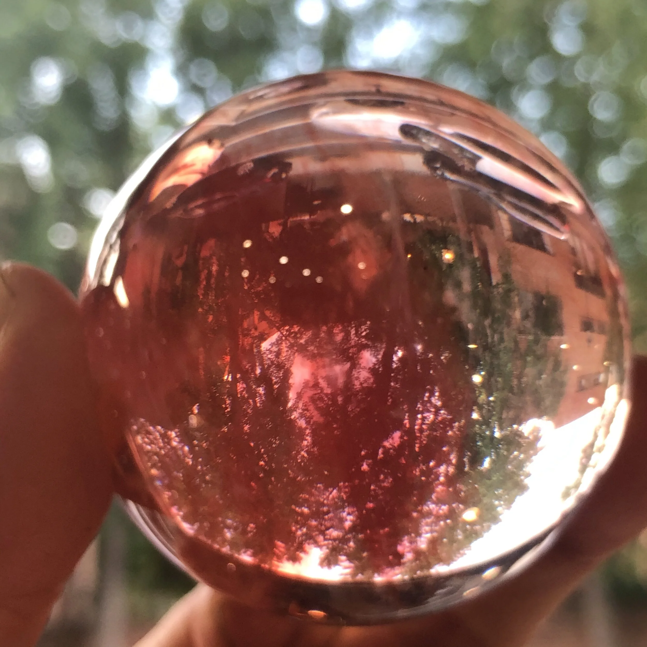 EE83C445-1D69-48EB-A50F-14D63F1DD596