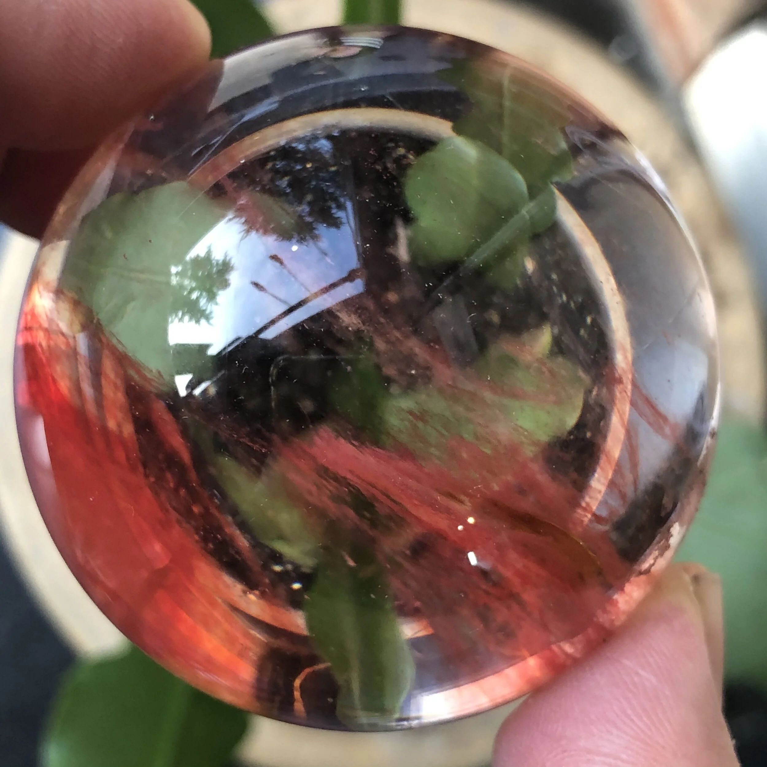 CF0EF6B5-135C-4104-BE20-8C9C2D5E9D56